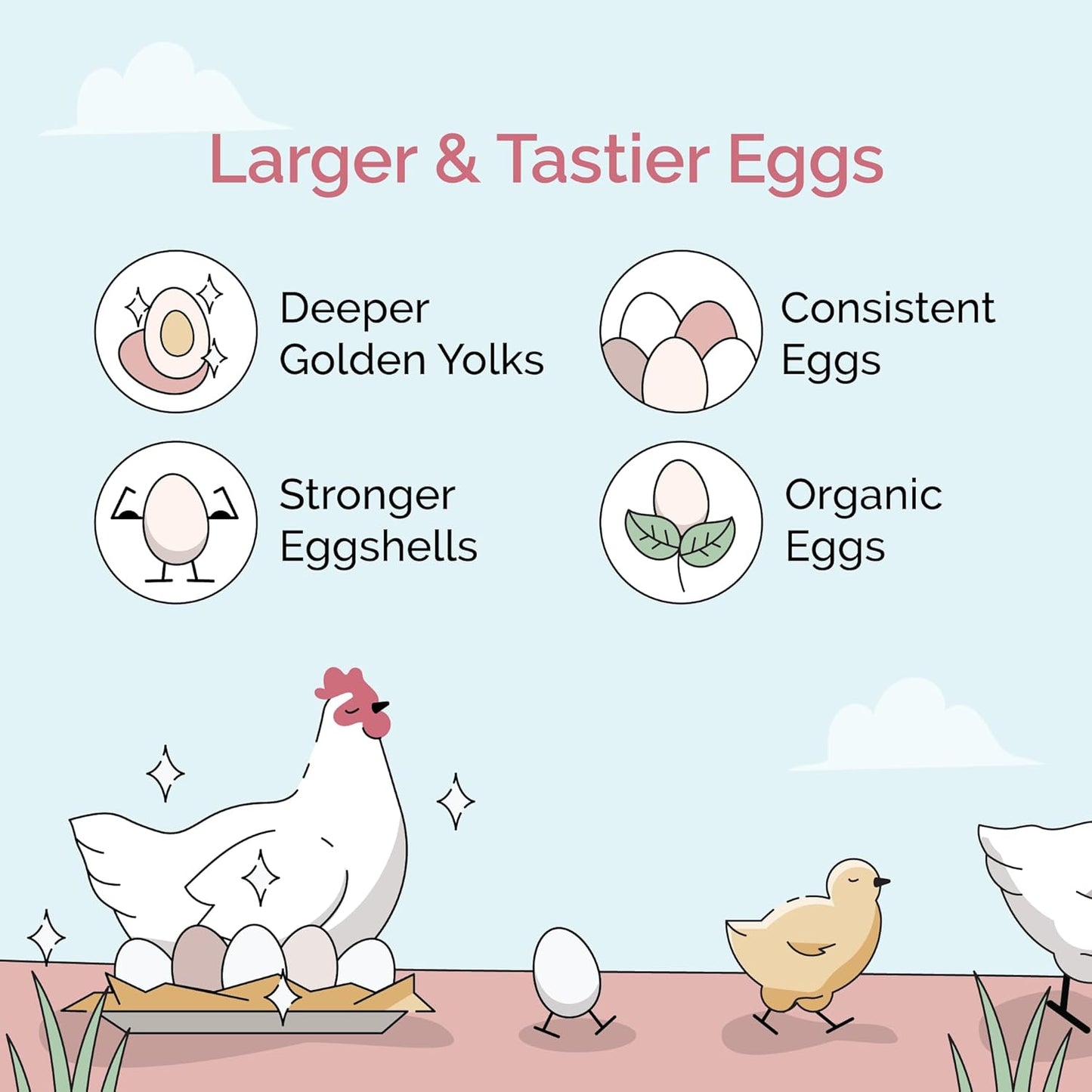 Organic Chicken Feed – Layer Mash, Non-GMO, USA Grown, 16% Protein, Corn-Free, Soy-Free, Non-Medicated Feed for Chickens, 46 lbs