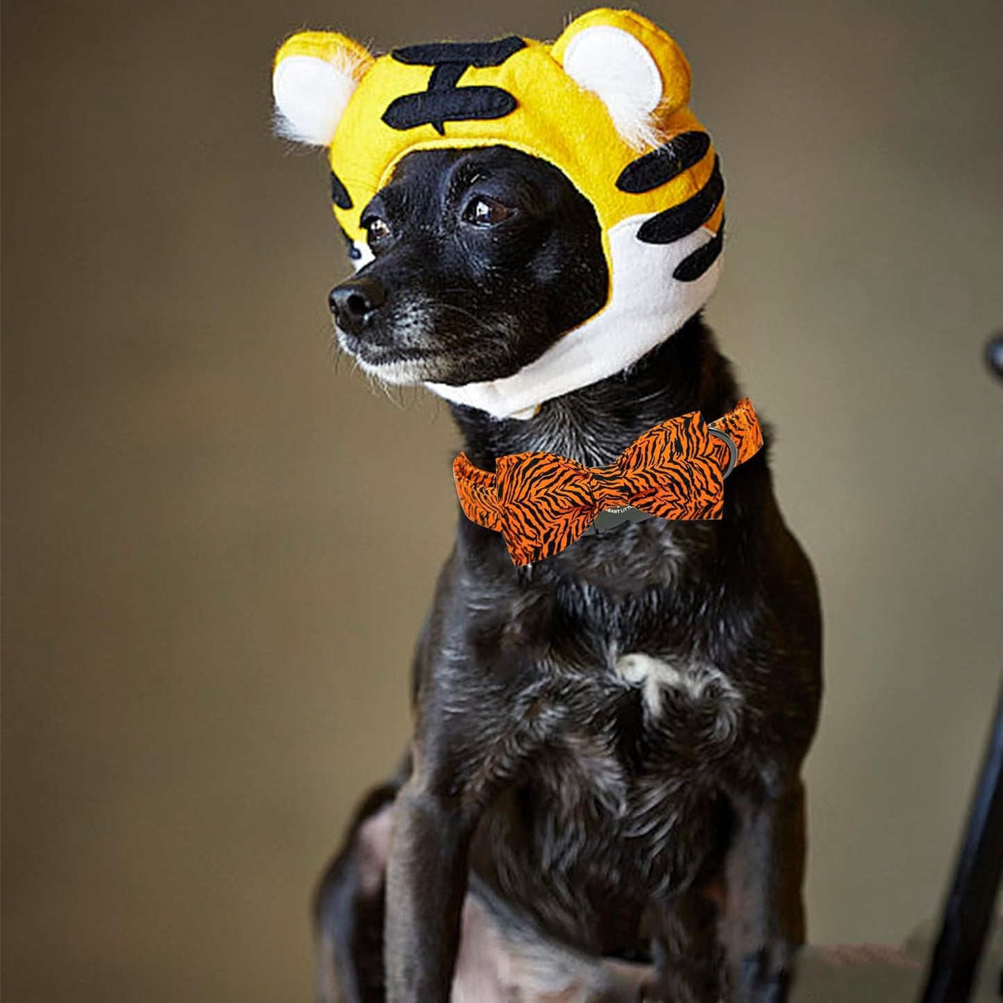 Elegant little tail Dog Collar, Tiger Print Pet Collar Fashion Boy Dog Collars Durable Metal Buckle Dog Collars Cotton Pet Adjustable Dog Collars for Medium Dogs