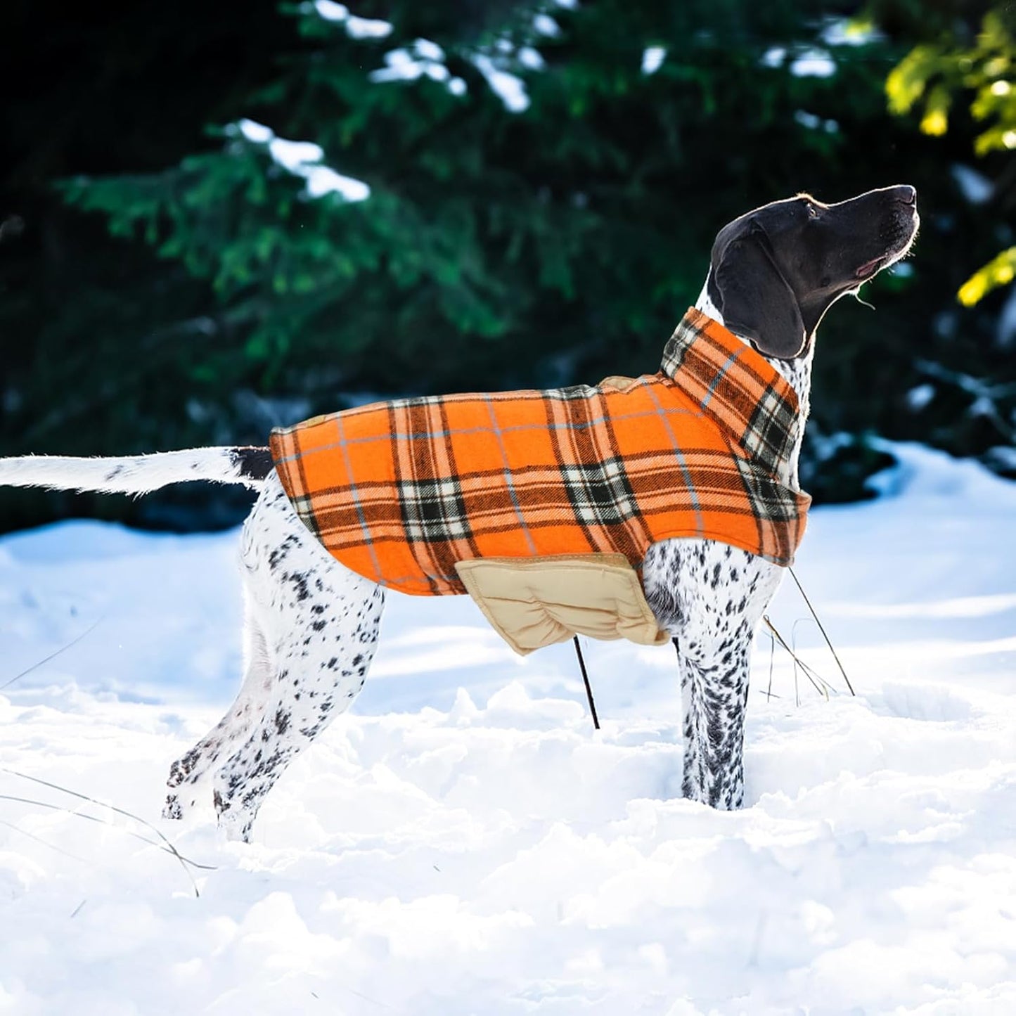 Kuoser Warm Dog Coat, Waterproof Dog Coats for X-Small Dogs, Adjustable Durable Doggie Winter Jacket Reversible Cozy Puppy Cold Weather Apparel from Small to Large Breed, Orange XS