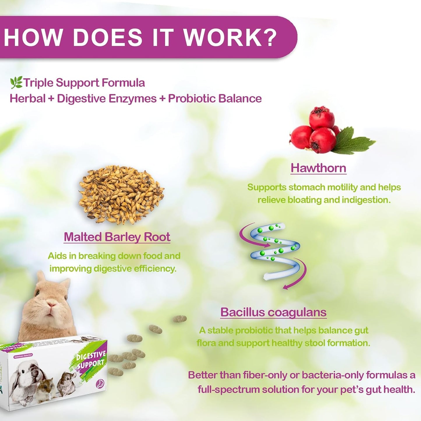 Digestive Support for Rabbits - High Fiber Probiotics, GI Stasis Prevention, Promote Gut Motility, Critical Care Herbivore Supplement, Rabbit & Guinea Pig Treats/Food, 36 Capsules