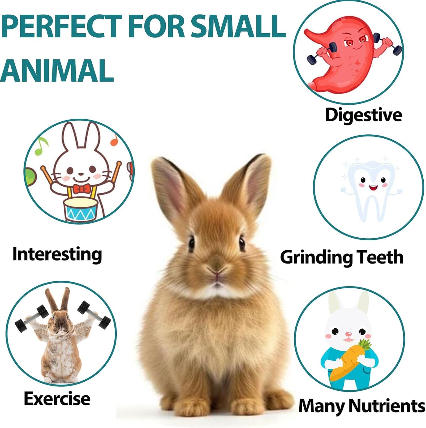 HERCOOCI 18Pcs Rabbit Chew Toys, Bunny Treats and Ball Timothy Hay Stick Toys for Rabbit Bunny Guinea Pig Chinchilla Hamster Teeth Care