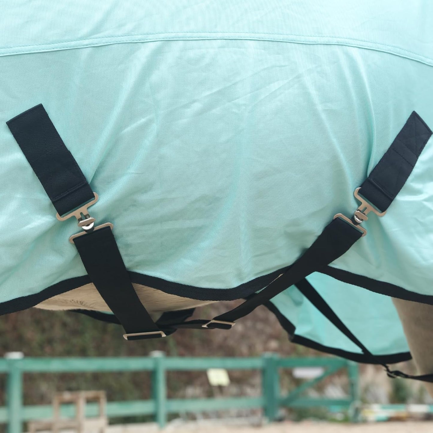 Horse Fly Sheet, Standard Neck Comfy Mesh Fly Sheet for Horses, Equine Summer Sheets UV-Protective Green 66