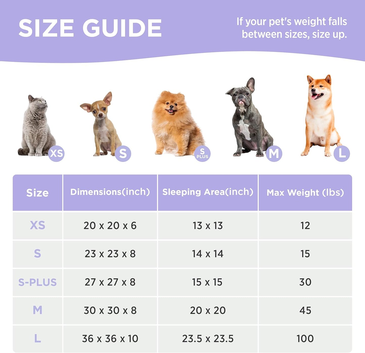 LE SURE Donut Medium Dog Bed - Round Cat Beds for Indoor Cats Calming Pet Beds, Cute Modern Beds with Jacquard Shaggy Plush & Anti Slip Bottom, 30 Inch, Green