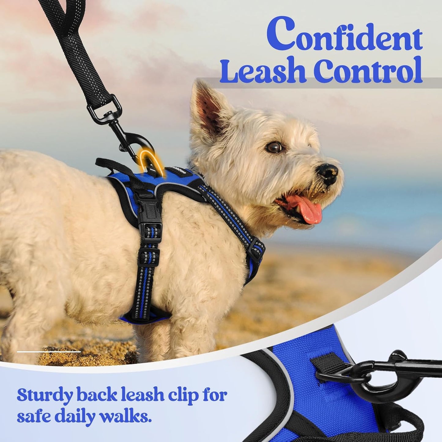 rabbitgoo Dog Harness No Pull with 2 Leash Clips, Adjustable Soft Padded, Reflective Oxford No Choke Pet Vest with Easy Control Handle for Puppy, Dazzling Blue,XS