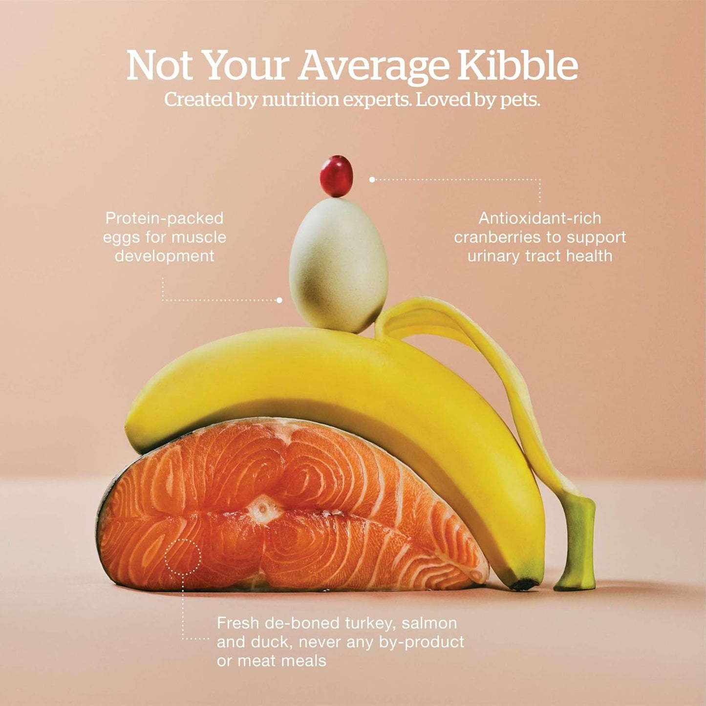 Now Fresh Grain-Free Senior Dry Cat Food with Turkey, Salmon & Duck, Premium Kibble Made with Real Meat & Fish, Chicken-Free Recipe, Supports Healthy Weight Management, 8 lb Bag