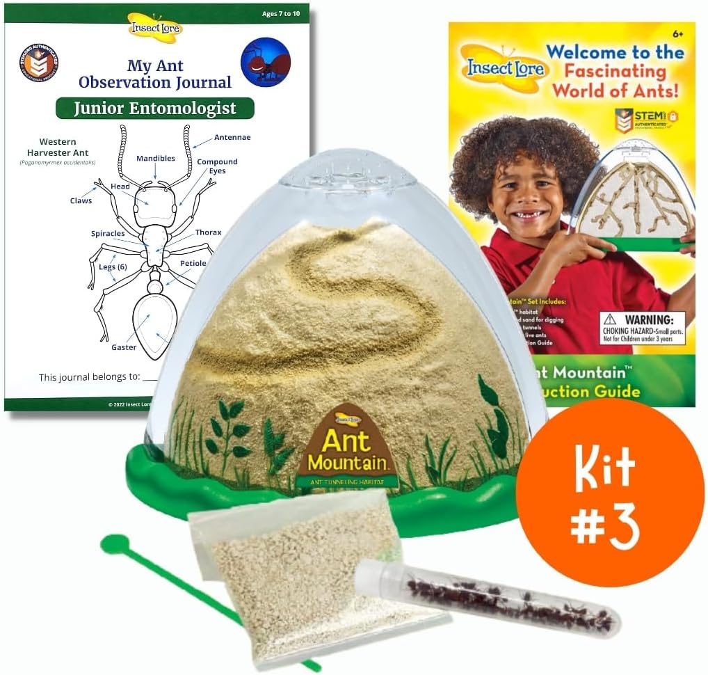 Insect Lore Bug Camp Bundle | Butterfly Kit with 1 Cup Live Caterpillars | Ladybug Land with 1 Tube Live Larvae | Ant Mountain with 1 Tube Live Western Harvester Ants | Life Cycle Figurines & More