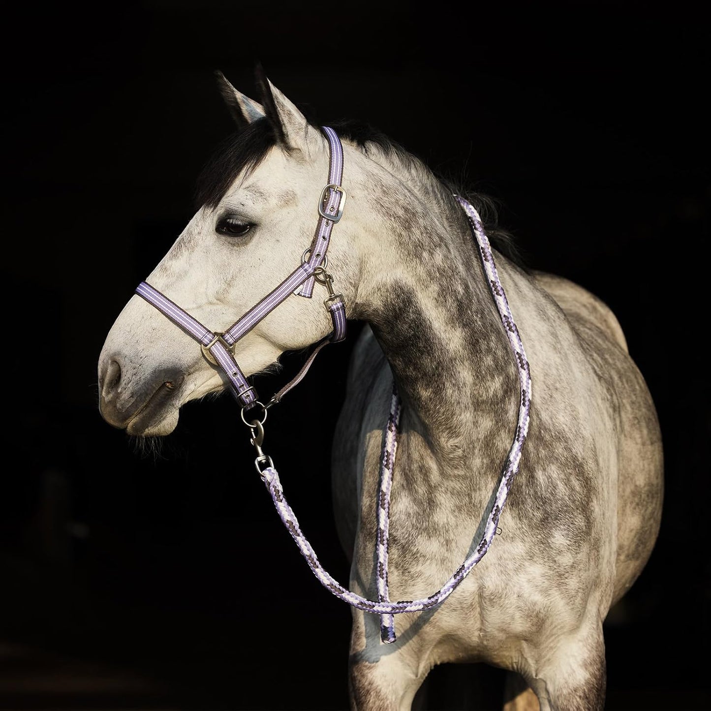 HORZE Adepto Adjustable Horse Halter | Soft, Durable Polyester - Languid Lavender Purple - Pony