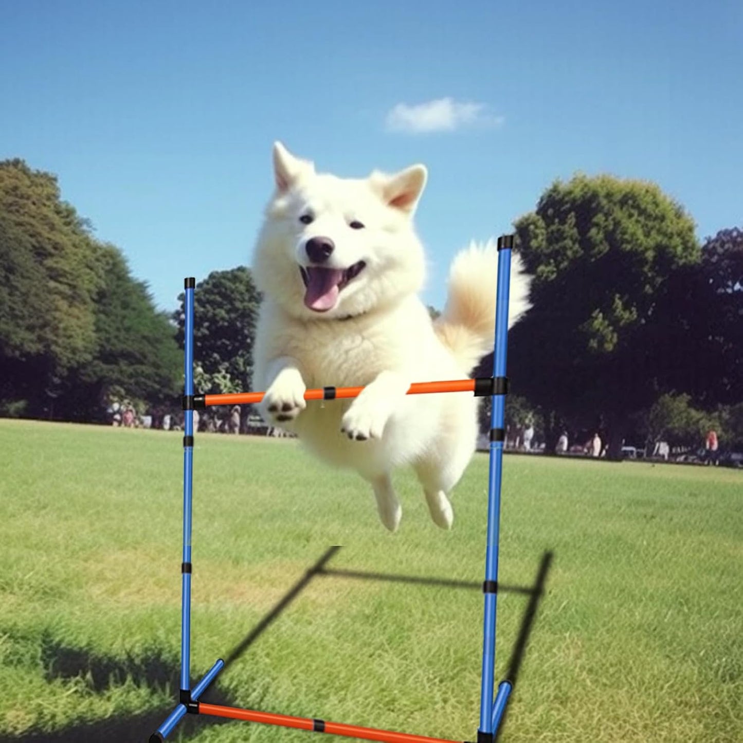 PLKO Dog Agility Equipment Set,Pets Agility Training Equipment,Weave Poles, Adjustable Hurdle, Jump Ring, Pause Box and Storage Bag