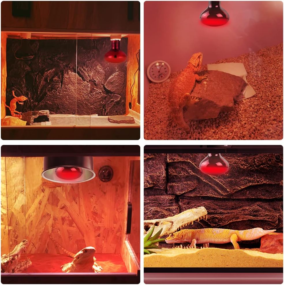 LUCKY HERP 50W Reptile Heat Lamp Bulbs 2 Pack, Reptiles & Amphibians Infrared Basking Spot Lamp, Heat Light Bulb for Turtle, Bearded Dragon, Lizard