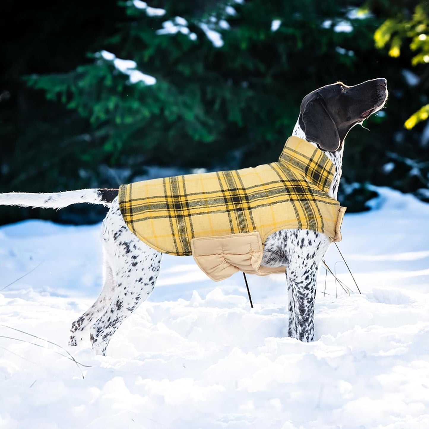 Kuoser Waterproof Dog Coat, Reversible Dog Jacket for Small Dogs, Adjustable Durable Doggie Winter Coat Warm Cozy Puppy Cold Weather Apparel from Small to Large Breed, Yellow S