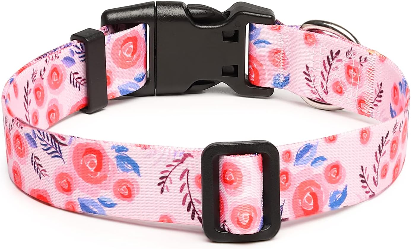 Mercano Adjustable Dog Collar - Special Design Patterns, Soft Nylon Comfortable Durable Pet Collar for Small Medium Large Dogs (XS, Rose)