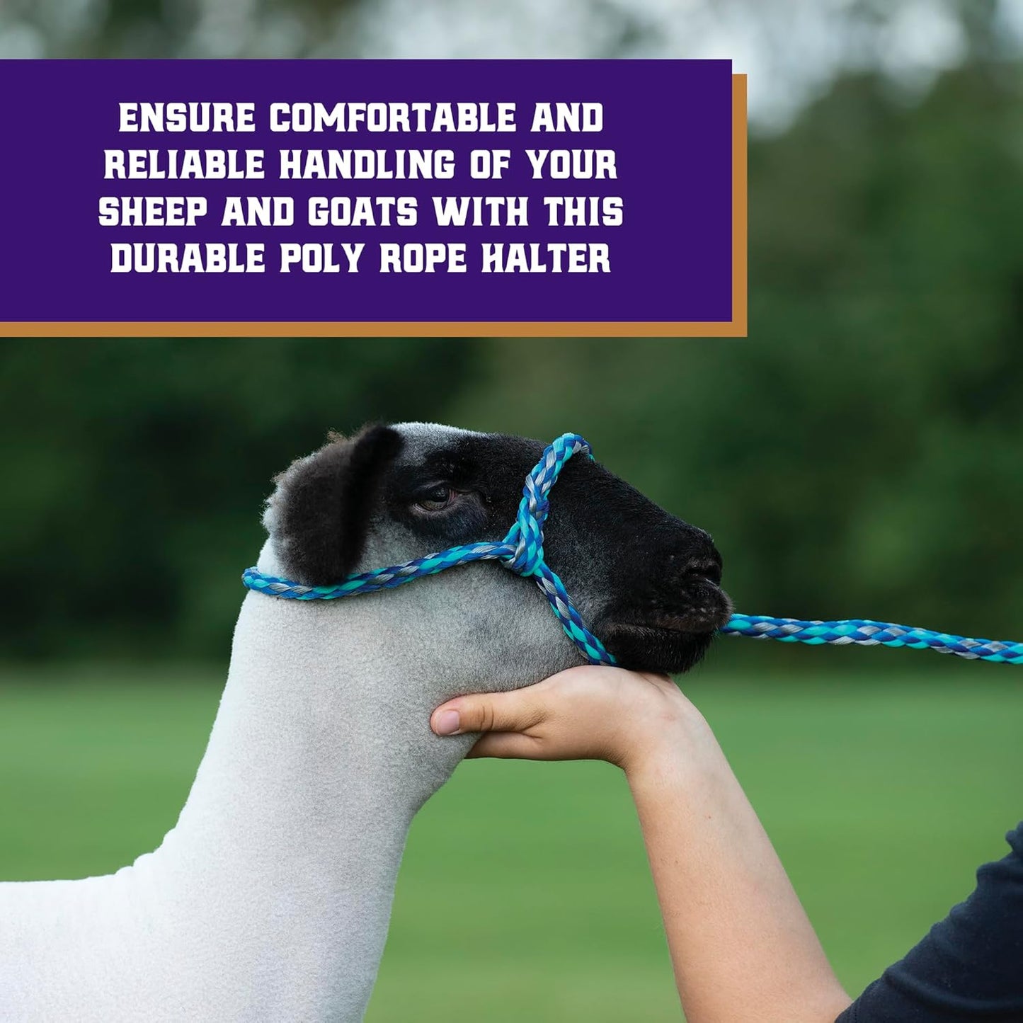 Weaver Livestock Poly Rope Sheep Halter, Modern Style Braid Sheep and Goat Rope Halter, Adjustable Lamb Halter Lead, Livestock Sheep Showing Supplies