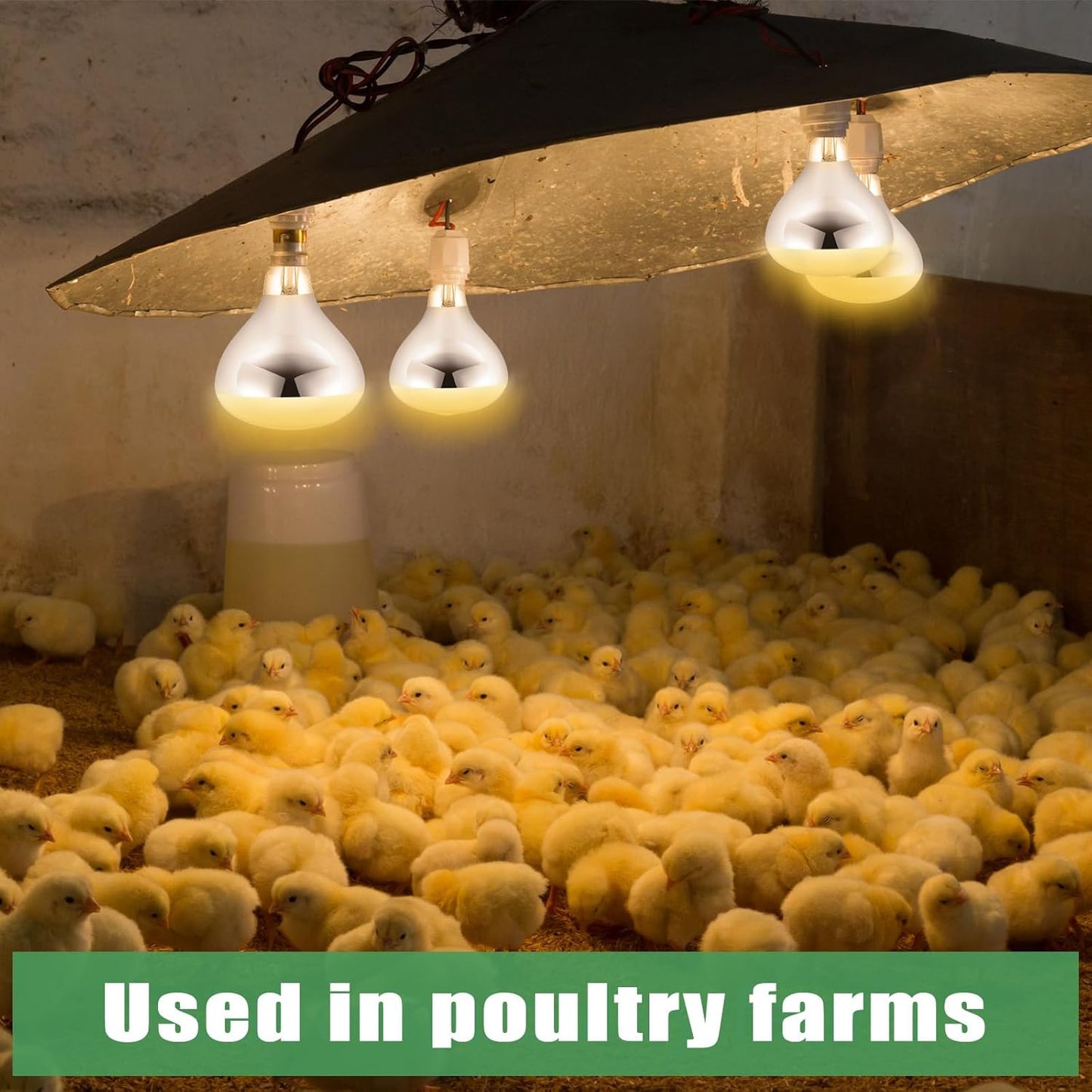 VIHOSE 1 Pack 250 Watt Heat Lamp 120v R40 Heat Lamp Bulbs Glass Incandescent Light Bulbs Incandescent Heating Lightbulbs for Reptiles Chicks Food Puppies Bathroom, Use E26 Base (Silver)