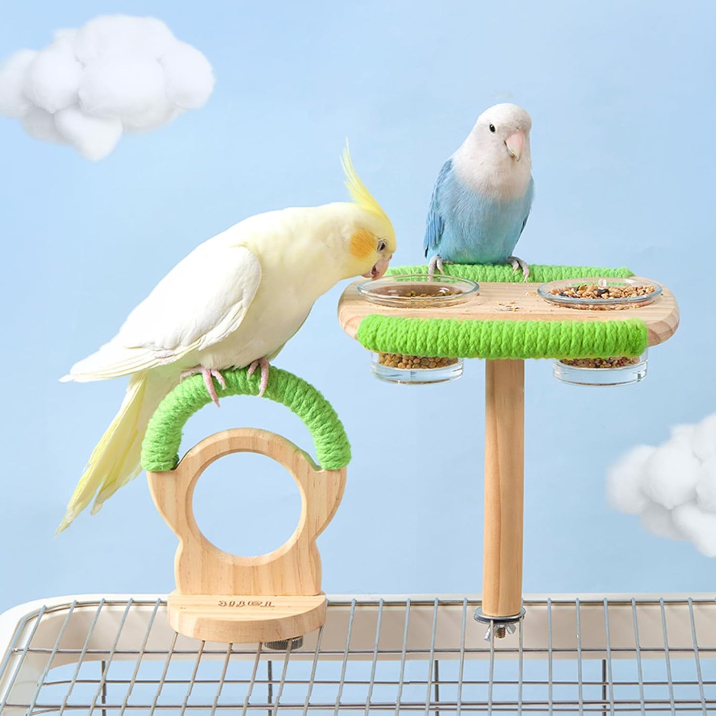 Bird Feeder & Perch – Includes Cotton Rope Perch and 2 Glass Feeding Cups – Cage Accessory for Cockatiels, Budgies, Lovebirds, Conures, Canaries, Finches, and Small Parrots