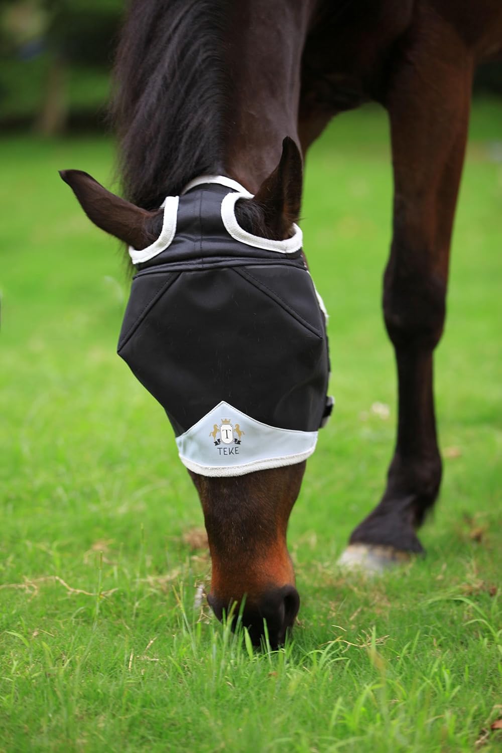 T TEKE Fine Mesh Horse Fly Mask w/No Ears, UV Blocking 3D Eye Visor with Extra Fleece Cushioned Forehead, Protection from Insect Pests
