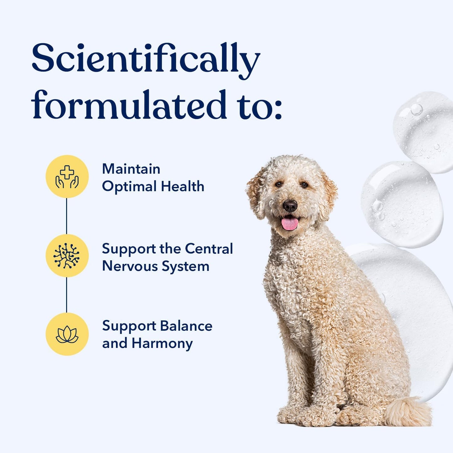 Honest Paws Hemp Oil for Dogs - Natural Hemp Seed Oil Calming Purity Drops for Dogs - Rich in Omega 3 6 9 to Promote Healthy Bones, Joint Support, Relaxation, Managing Normal Stress - Made in The USA