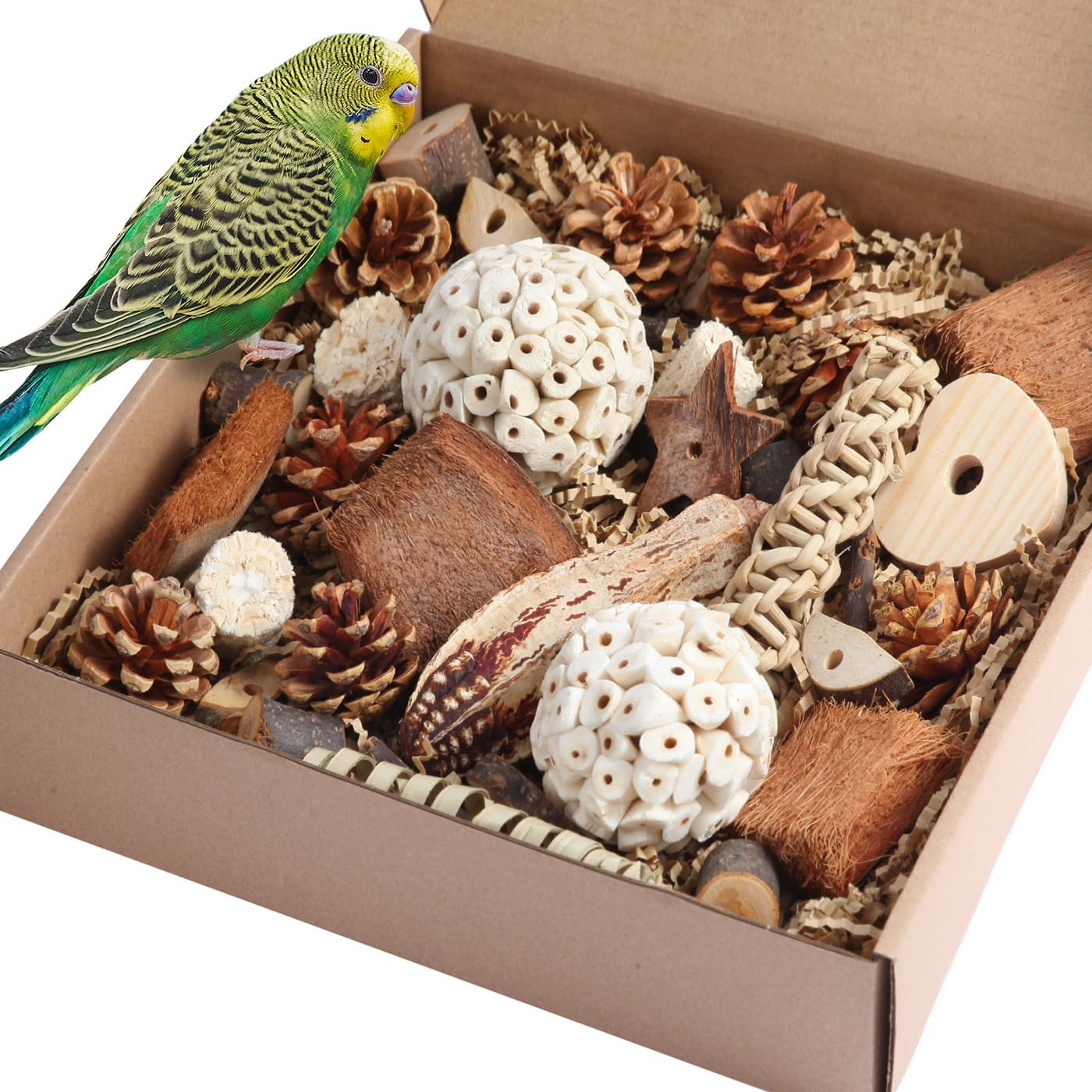 Kyouki Bird Toys Parrot Natural Bird Foraging Box Foot Toys for Parakeets,Cockatiels,Conures,Love Birds,and Other Small to Medium Birds (Large)