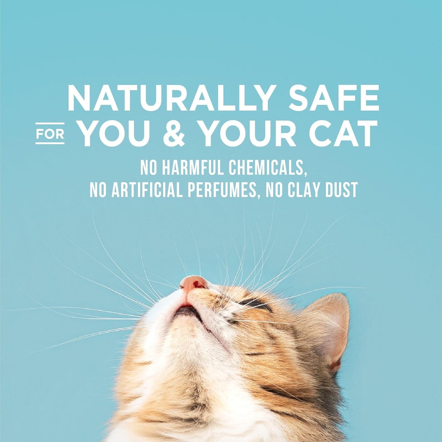 WORLD'S BEST CAT LITTER Poop Fighter Maximum Odor Defense, 8-Pounds - Natural Ingredients, Quick Clumping, Flushable, 99% Dust Free & Made in USA - Long-Lasting Odor Control & Easy Scooping