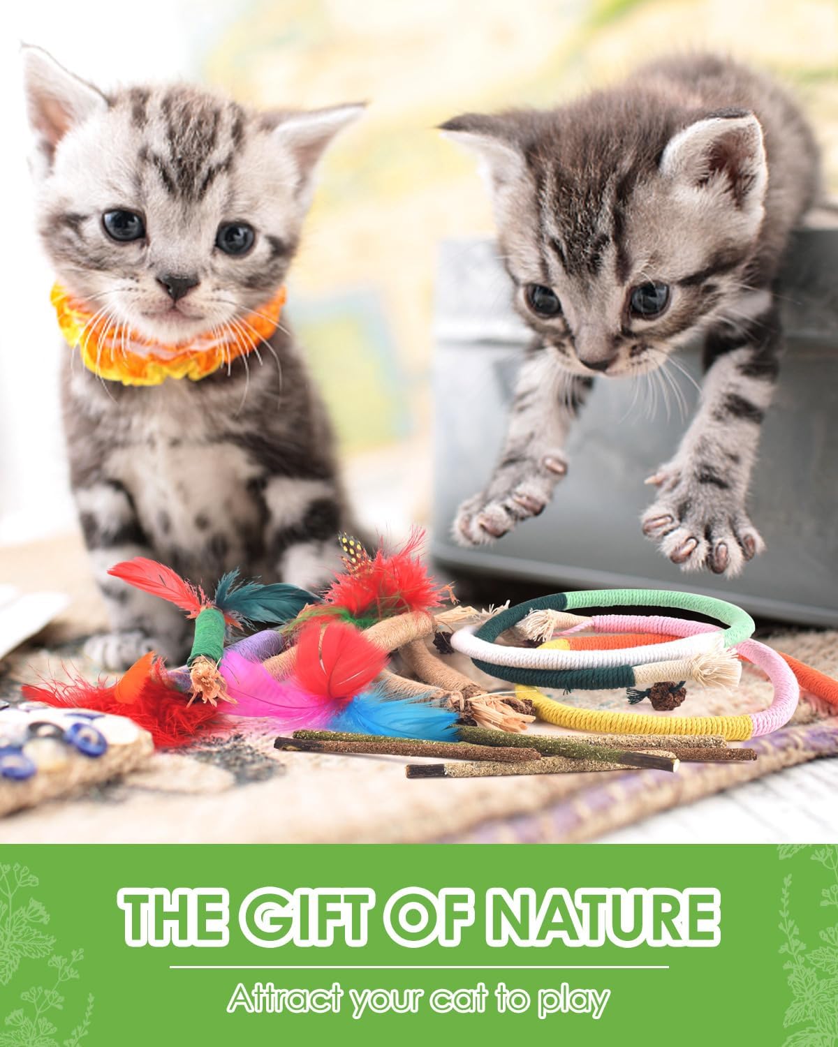 TINDTOP Cat Chew Toys, 12 Pack Silvervine Chew Sticks with 2 Pack Chew Ropes for Kittens Teeth Cleaning, Increase Appetite, Aggressive Chewers Cat Dental Toy