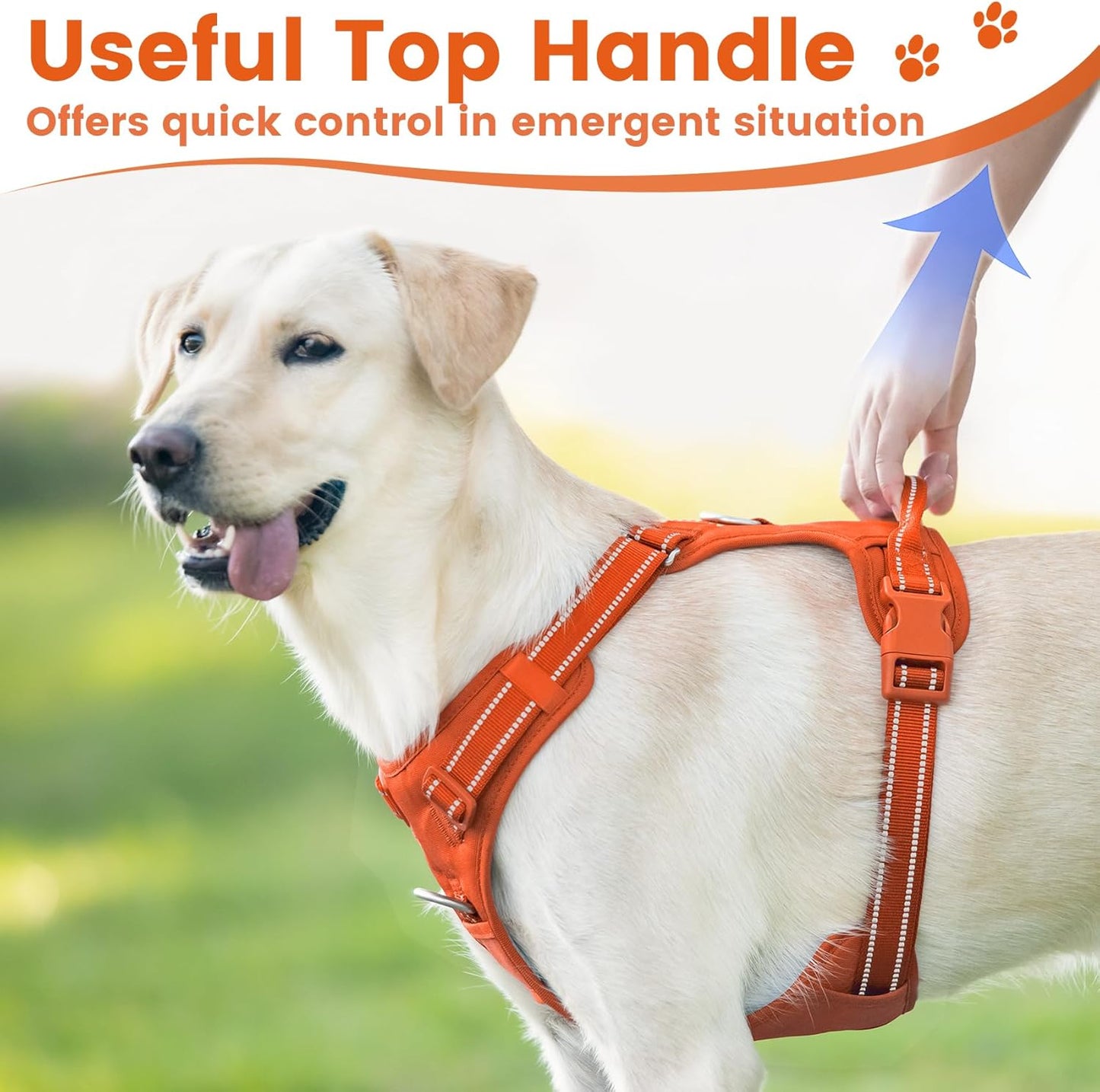 No Pull Dog Harness, Reflective Puppy Vest for Small Medium Large Sized Dog(Orange,XS)