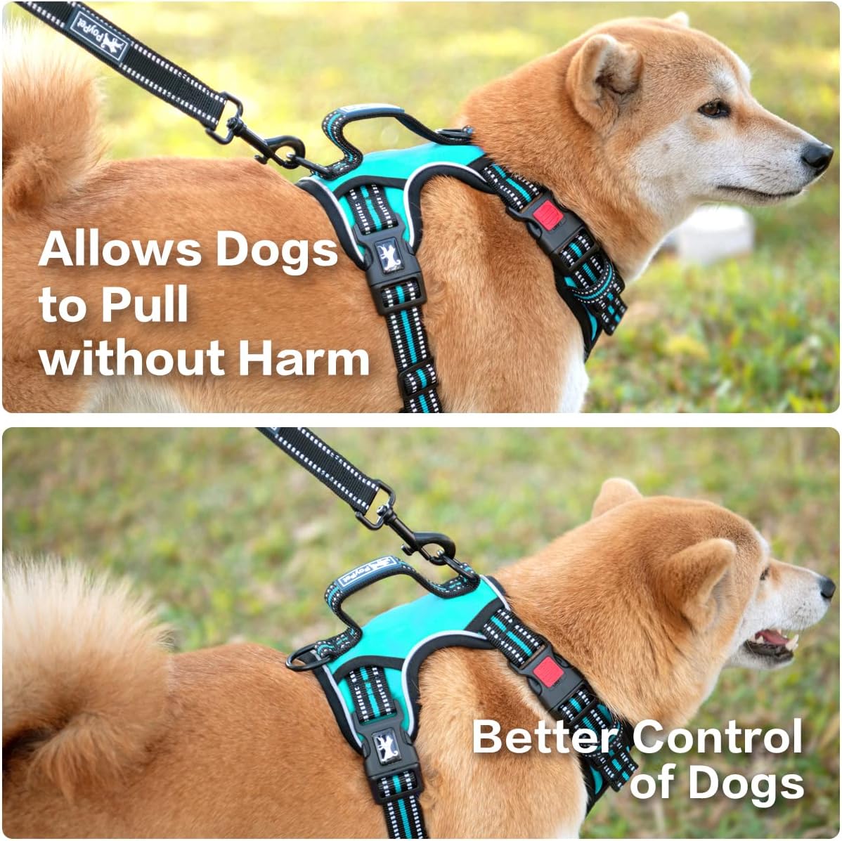 PoyPet No Pull Dog Harness, No Choke Front Clip Reflective Dog Vest with Soft Padded Vertical Handle, 3 Leash Attachments for Small Medium Large Dogs (Mint Blue,M)