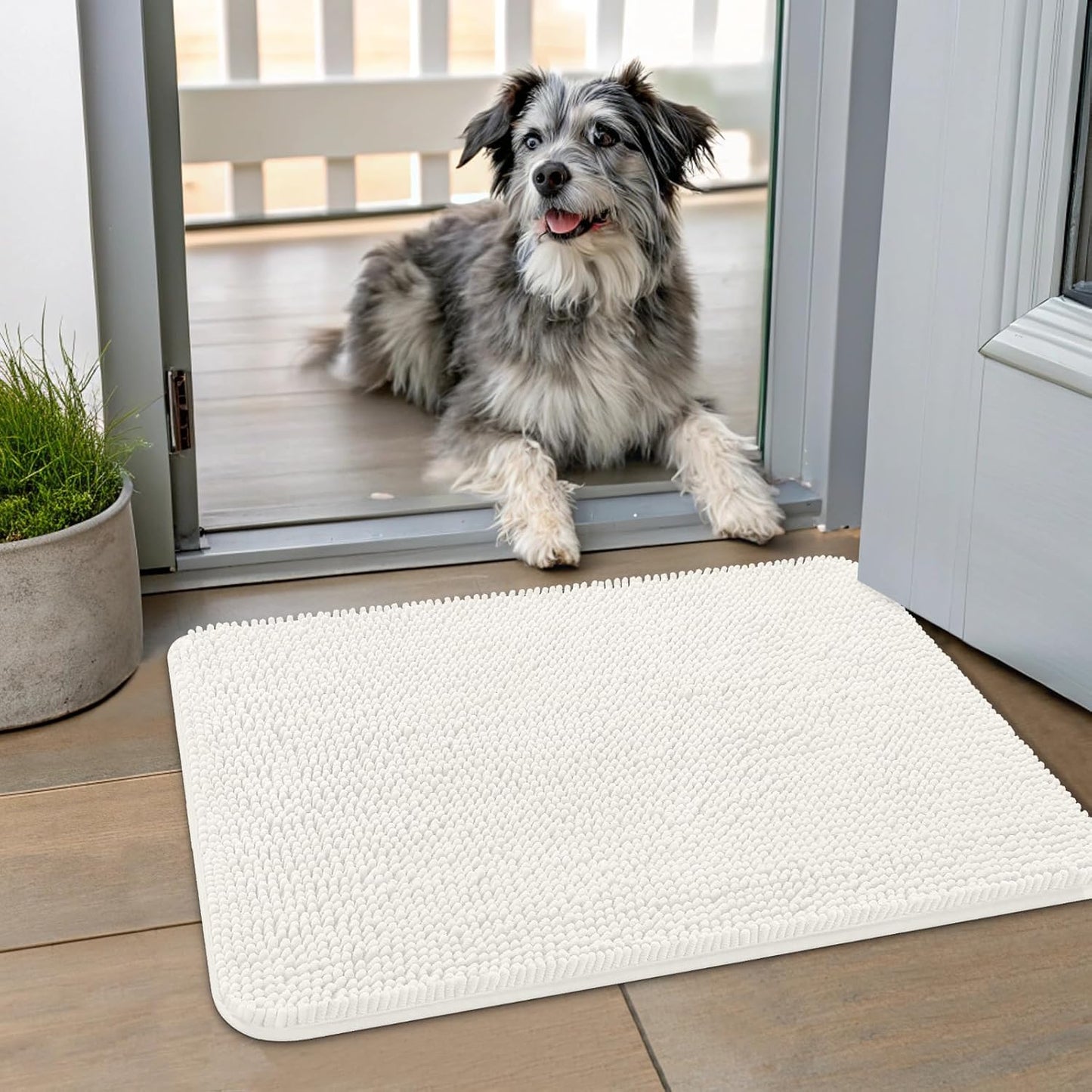 Smiry Dog Door Mat for Muddy Paws 24x16, Absorbs Moisture and Dirt Doormat, Non-Slip Washable Quick Dry Chenille Front Door Mat Indoor Entrance, Entryway Carpet for Inside Floor, Ivory