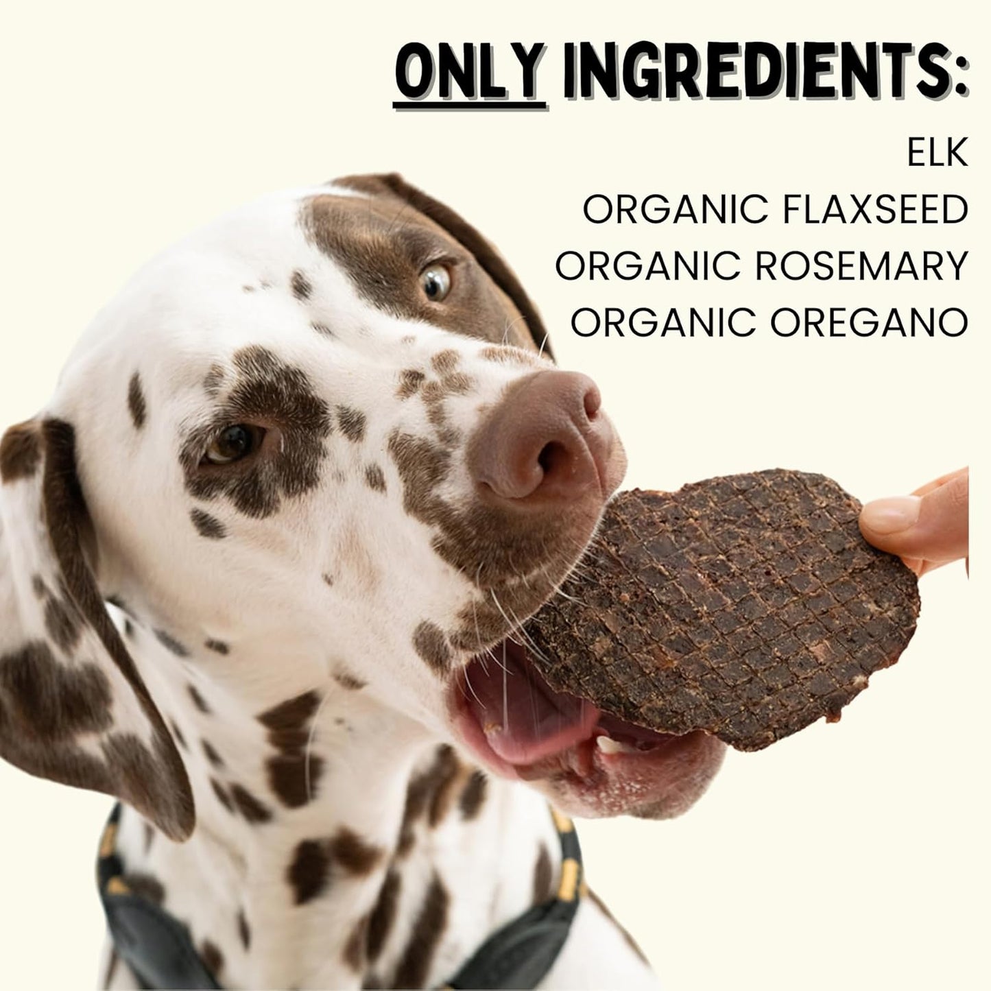 Winnie Lou Elk Jerky Dog Treats – Limited Ingredient, Human Grade, Training Treats for Small, Medium & Large Dogs, Made in USA (2 Pack)