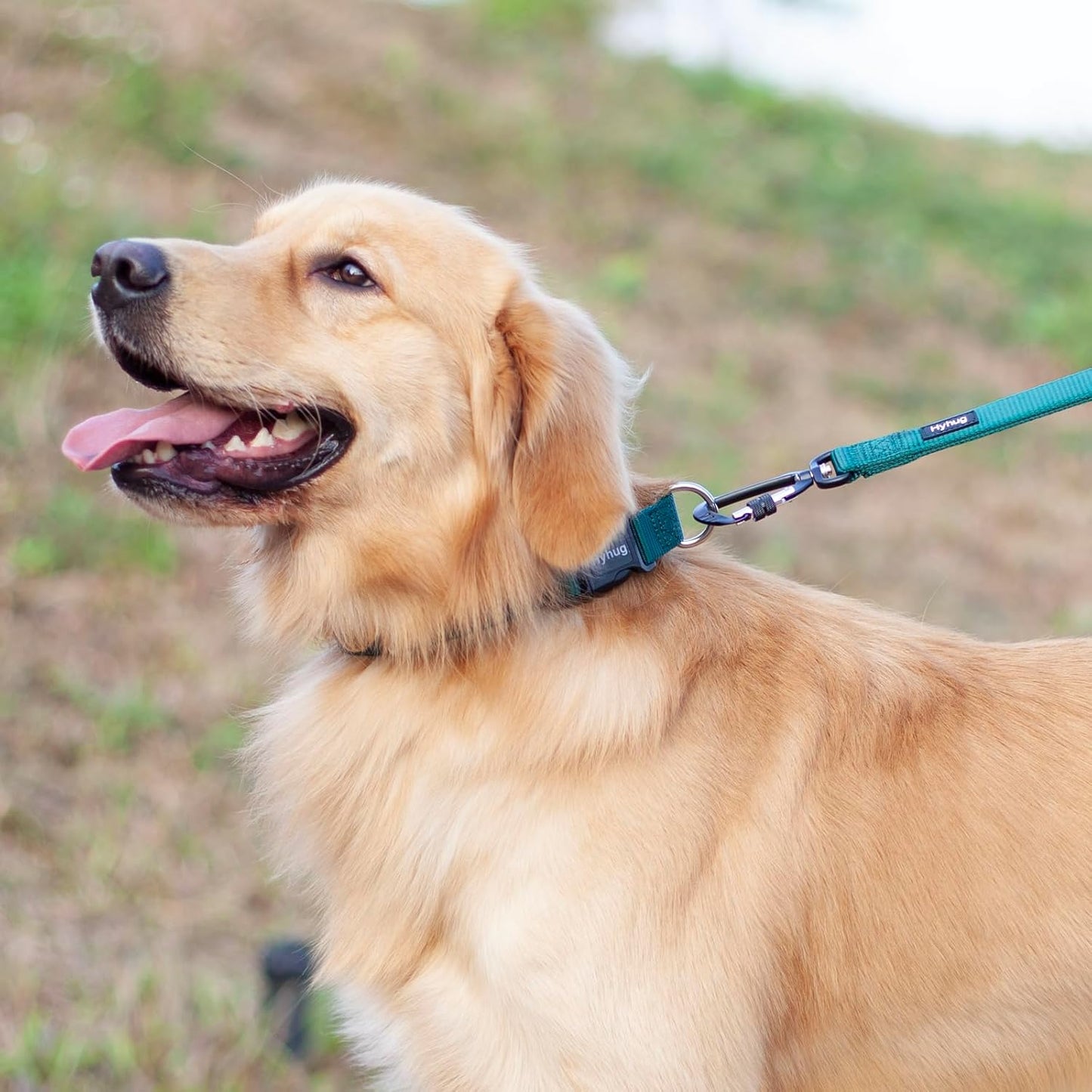 Hyhug Small Dog Collar Quick-Release Green| Heavy-Duty Nylon Puppy Collar, Adjustable & Durable Pet Supplies for Boy & Girl Dogs (Small, Dark Green)