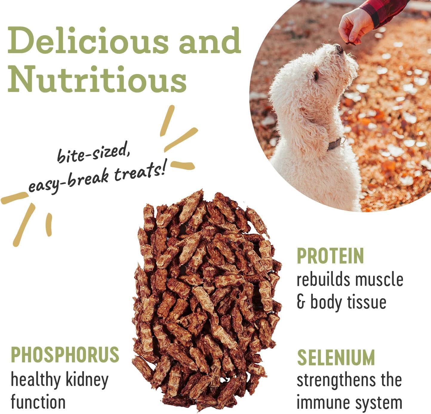 Farm Hounds - Duck Trainers - Premium Natural Jerky for Dogs - Made from 100% Humanely Raised Duck - Easy-Break - Great for Training & Treats - No Added Fillers - Made in USA - 4.5 oz - 2 Pack