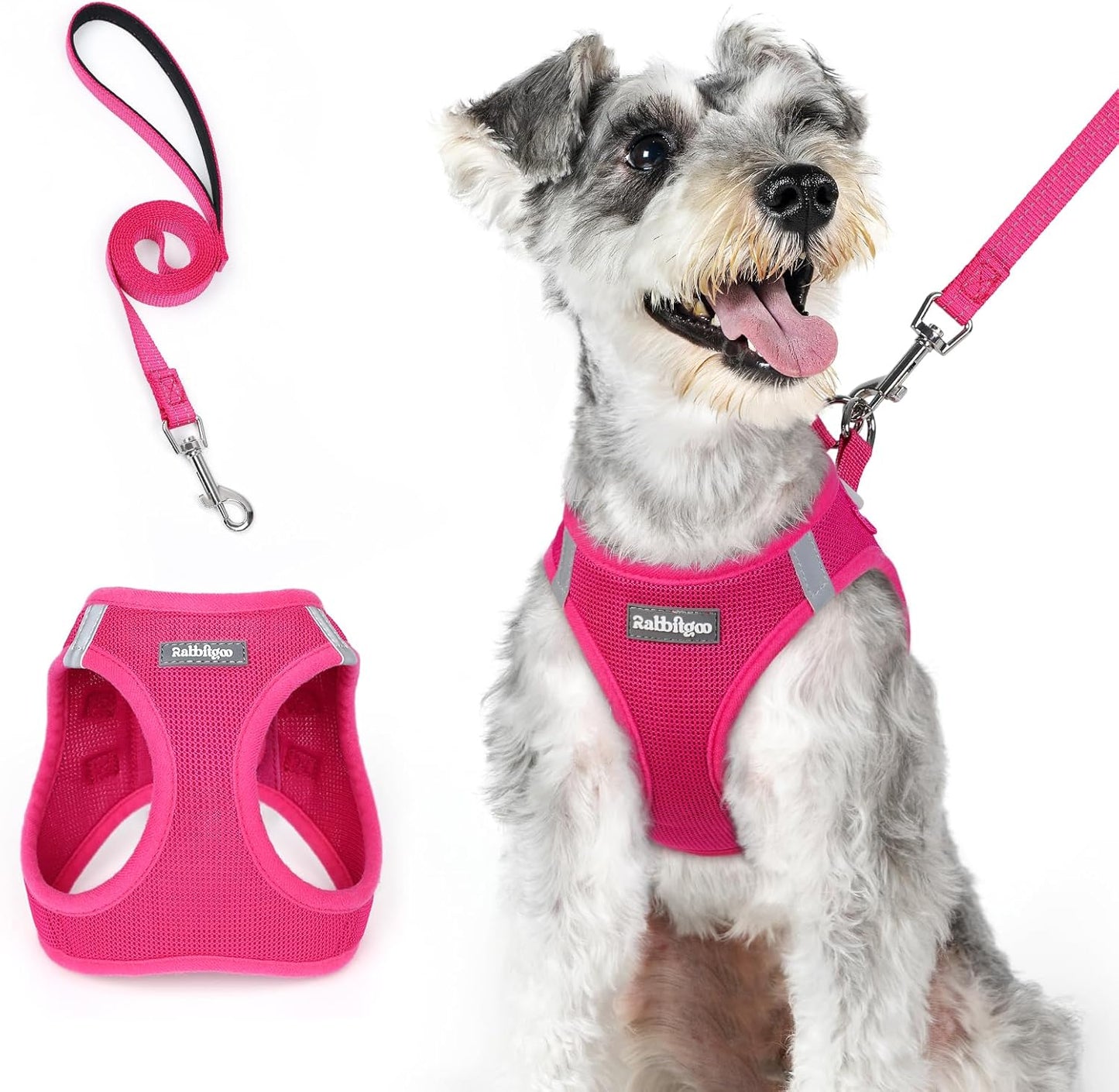 rabbitgoo Dog Harness Small Medium Sized and Leash Set, Step in Soft Light Puppy Vest, Breathable Mesh Pet Harness, Reflective for Safe Easy Walking, Rosa Red XL
