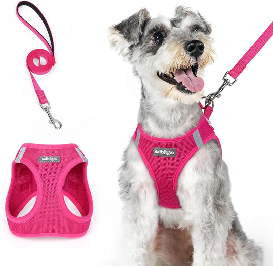 rabbitgoo Dog Harness Small Medium Sized and Leash Set, Step in Soft Light Puppy Vest, Breathable Mesh Pet Harness, Reflective for Safe Easy Walking, Rosa Red XL