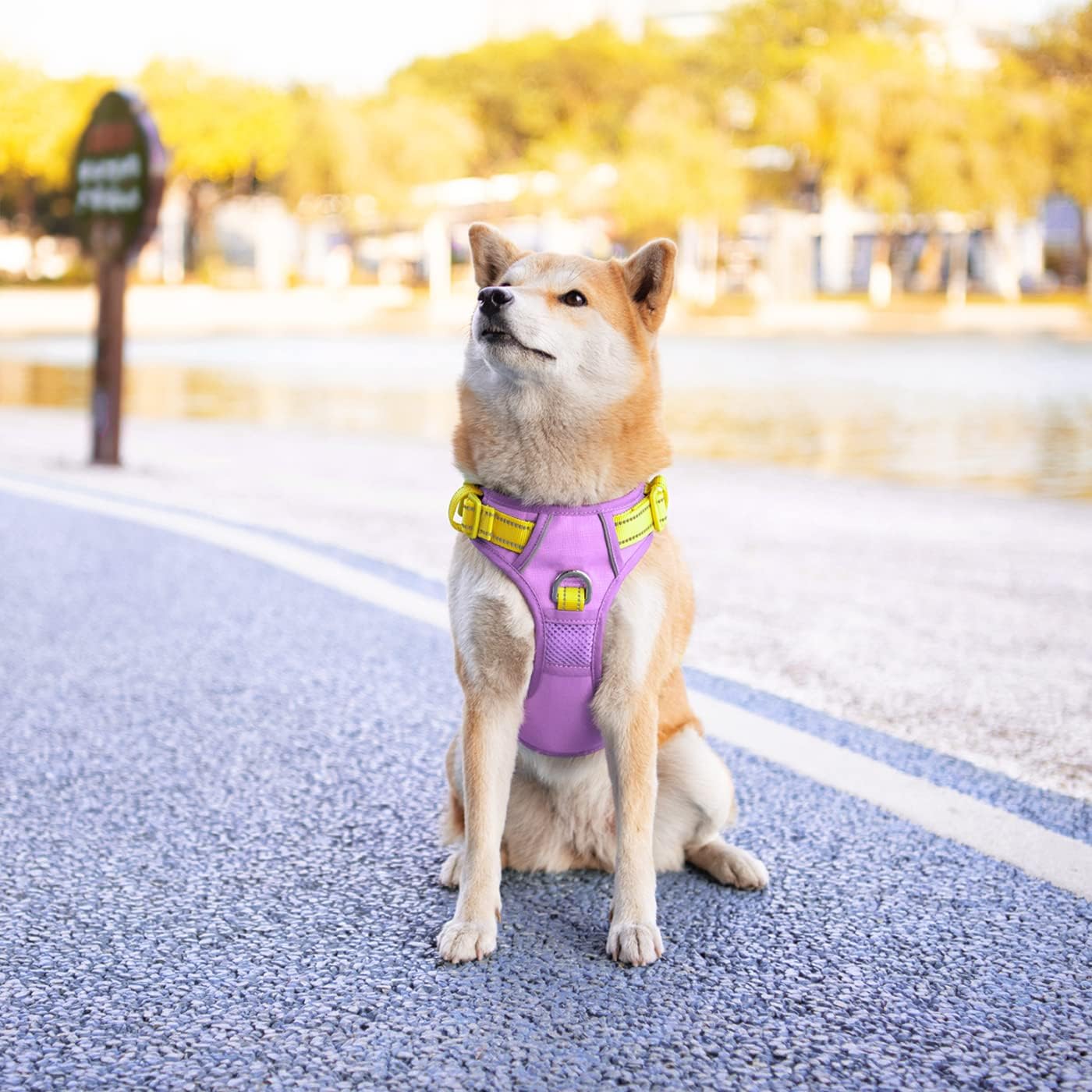 PHOEPET No Pull Dog Harness, Unique Colors Reflective Adjustable Dog Vest, with Soft Training Handle Metal Clips for Small Medium Large Dogs (Baby Purple Base & Yellow Straps,L)