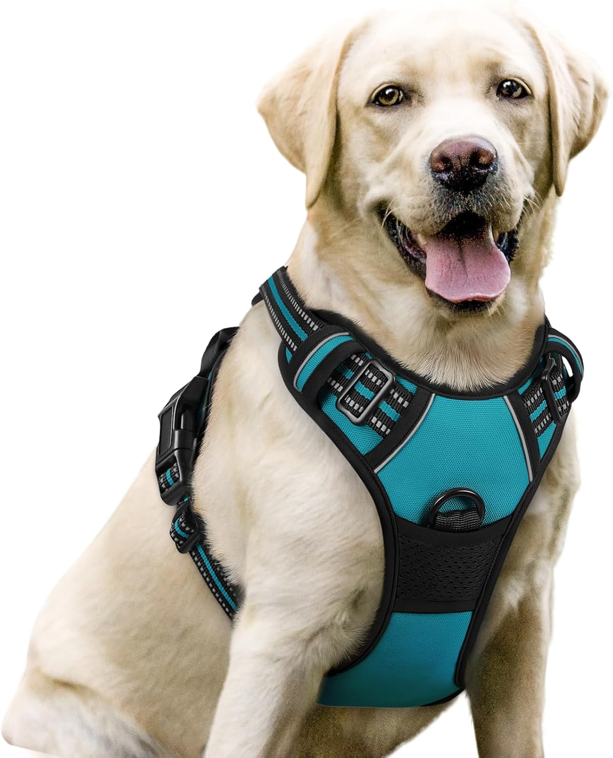 rabbitgoo Dog Harness No Pull with 2 Leash Clips, Adjustable Soft Padded, Reflective Oxford No Choke Pet Vest with Easy Control Handle for Large Dogs, Teal, L