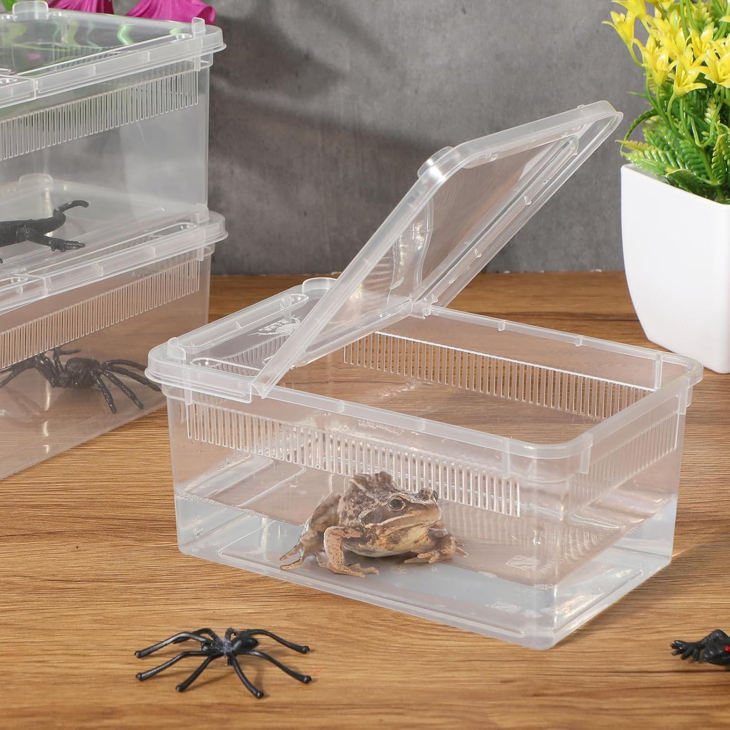 Irenare 8 Pcs Reptile Breeding Breeding Box Plastic Spider Terrarium Tarantula Feeding Box for Bearded Dragon Lizard Spider Gecko Scorpion (Vent Strips,5.9 x 3.9 x 2.5 Inch)