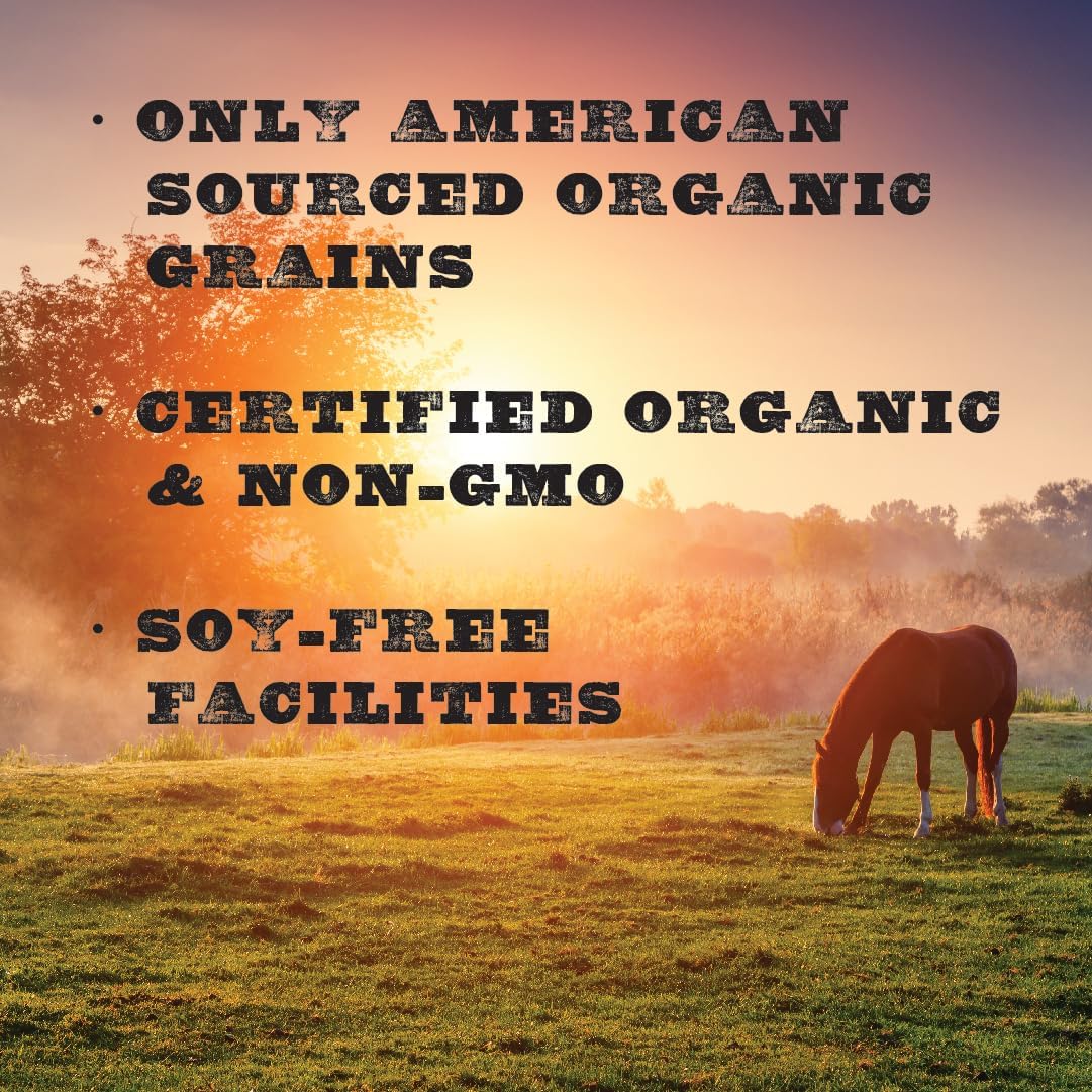 New Country Organics | Low Starch Horse Feed | Horse Food for Horses with Metabolic Disorders or Low Carb Needs | Corn-Free and Soy-Free | 16% Protein | Certified Organic and Non-GMO Feeder | 40 lbs