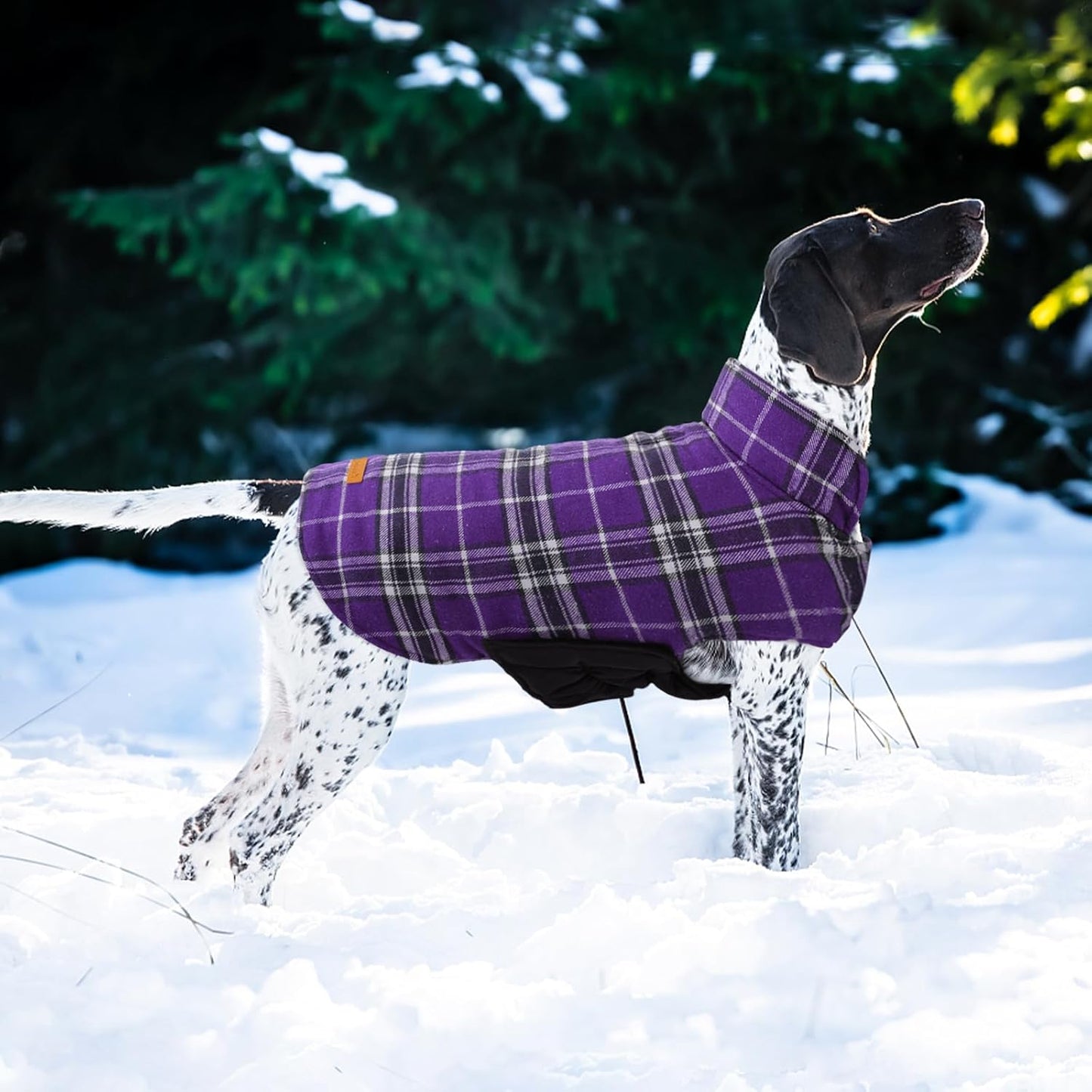 Kuoser Waterproof Dog Coat, Reversible Dog Jacket for Small Dogs, Adjustable Durable Doggie Winter Coat Warm Cozy Puppy Cold Weather Apparel from Small to Large Breed, Purple S