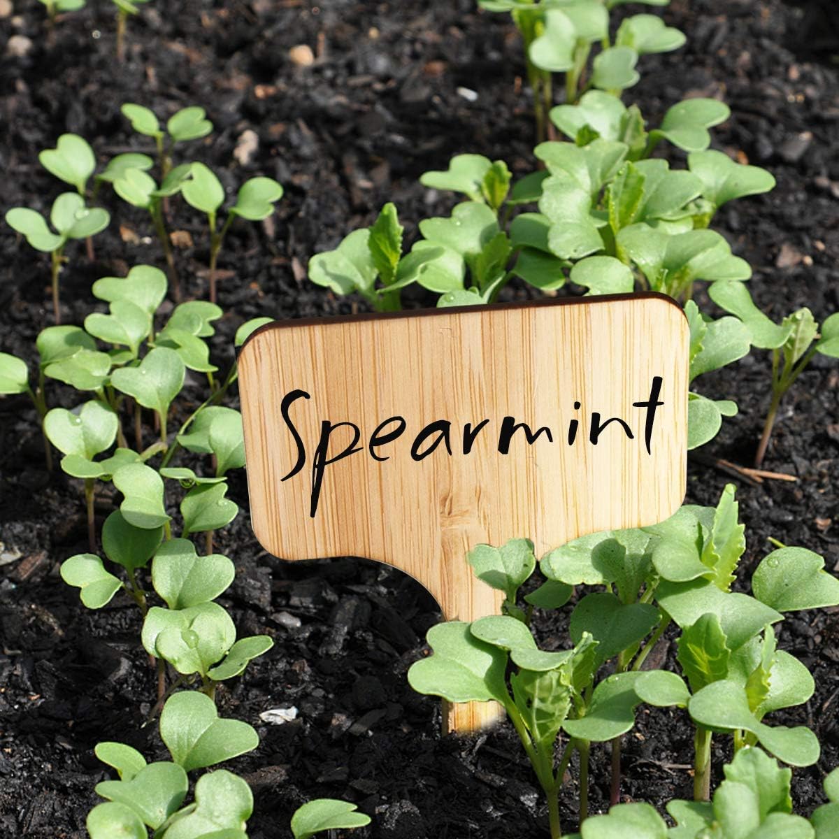 Homenote Bamboo Plant Labels 100Pcs Plant Tags for Seedlings T-Type Tags for Plants Outdoor Garden Markers Vegetable Seedling（2.36 * 4“