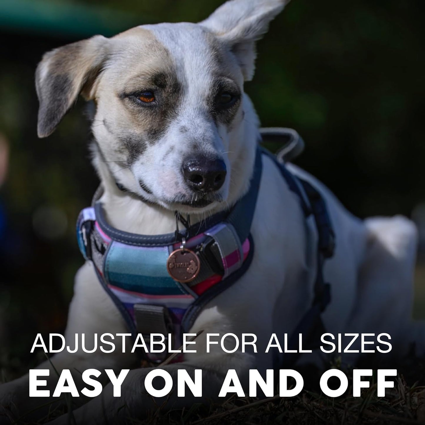 Embark Adventure Dog Harness, No-Pull Reflective Trim Dog Harness for Small, Medium & Large Dogs - Heavy Duty Oxford, 2 Leash Clips & Gel Lined Handle. Soft & Padded Puppy Dog Vest for Any Breed