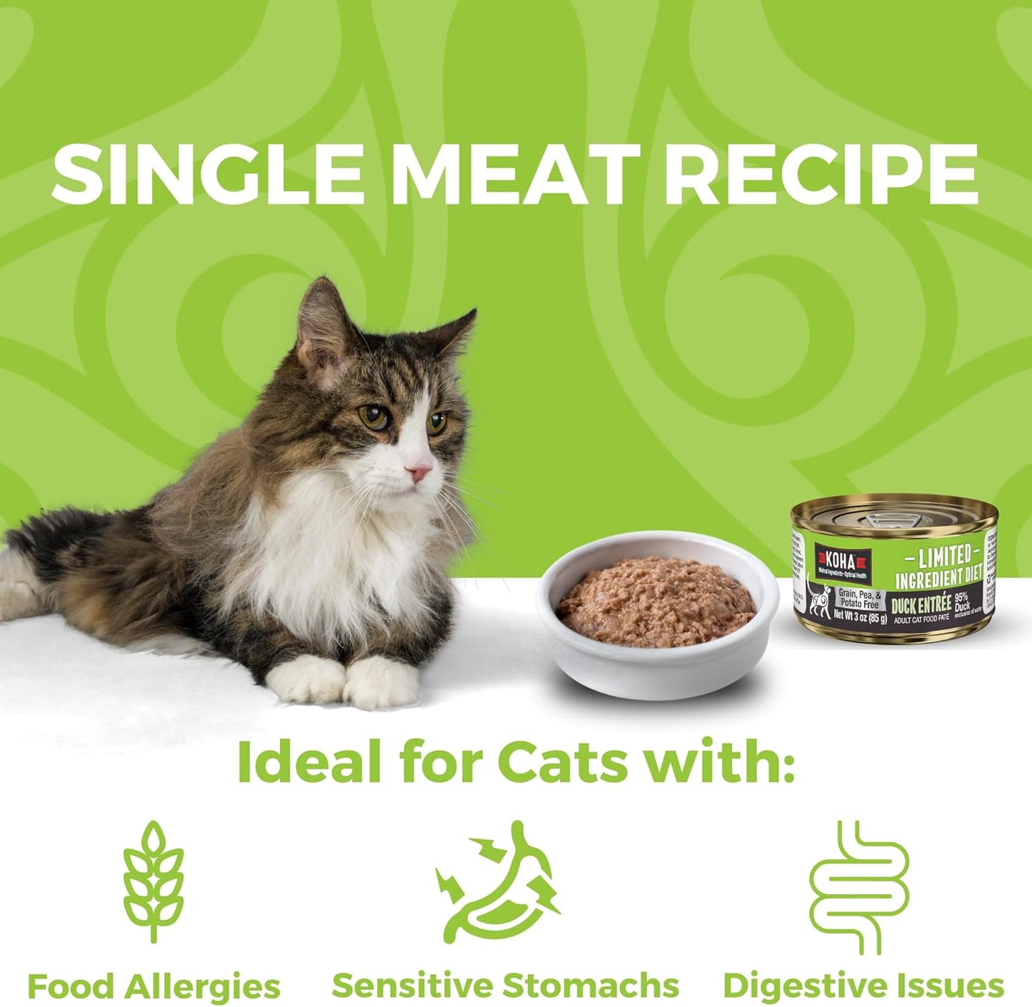 KOHA Limited Ingredient Diet Duck Pate for Cats - Single Meat Wet Cat Food for Sensitive Stomachs - Pate Cat Food with No Fillers - 5.5oz Pack of 24