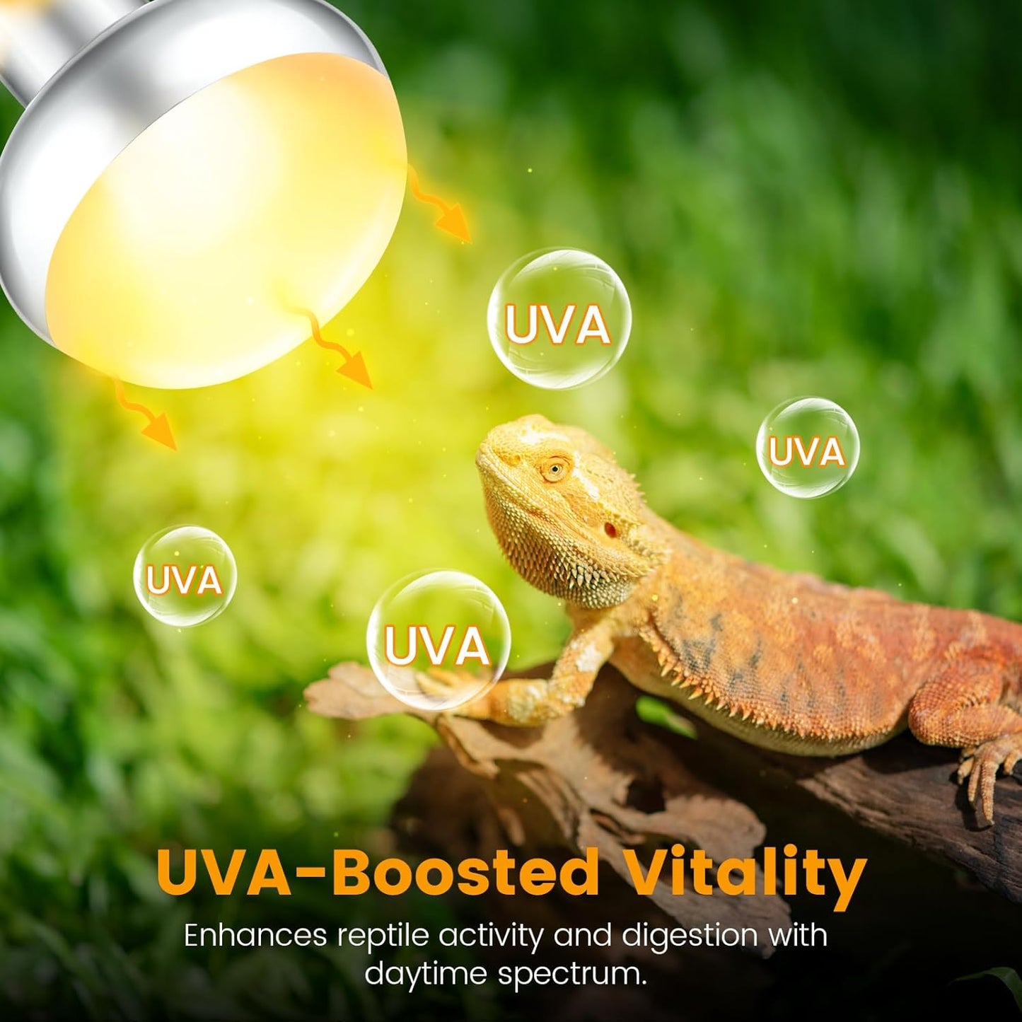 Dual Reptile Light Fixture with 100W Daytime Heat & UVB 10.0 Reptile Bulb, 2 Independent Switches, Reptile UVA UVB Light Combo Pack