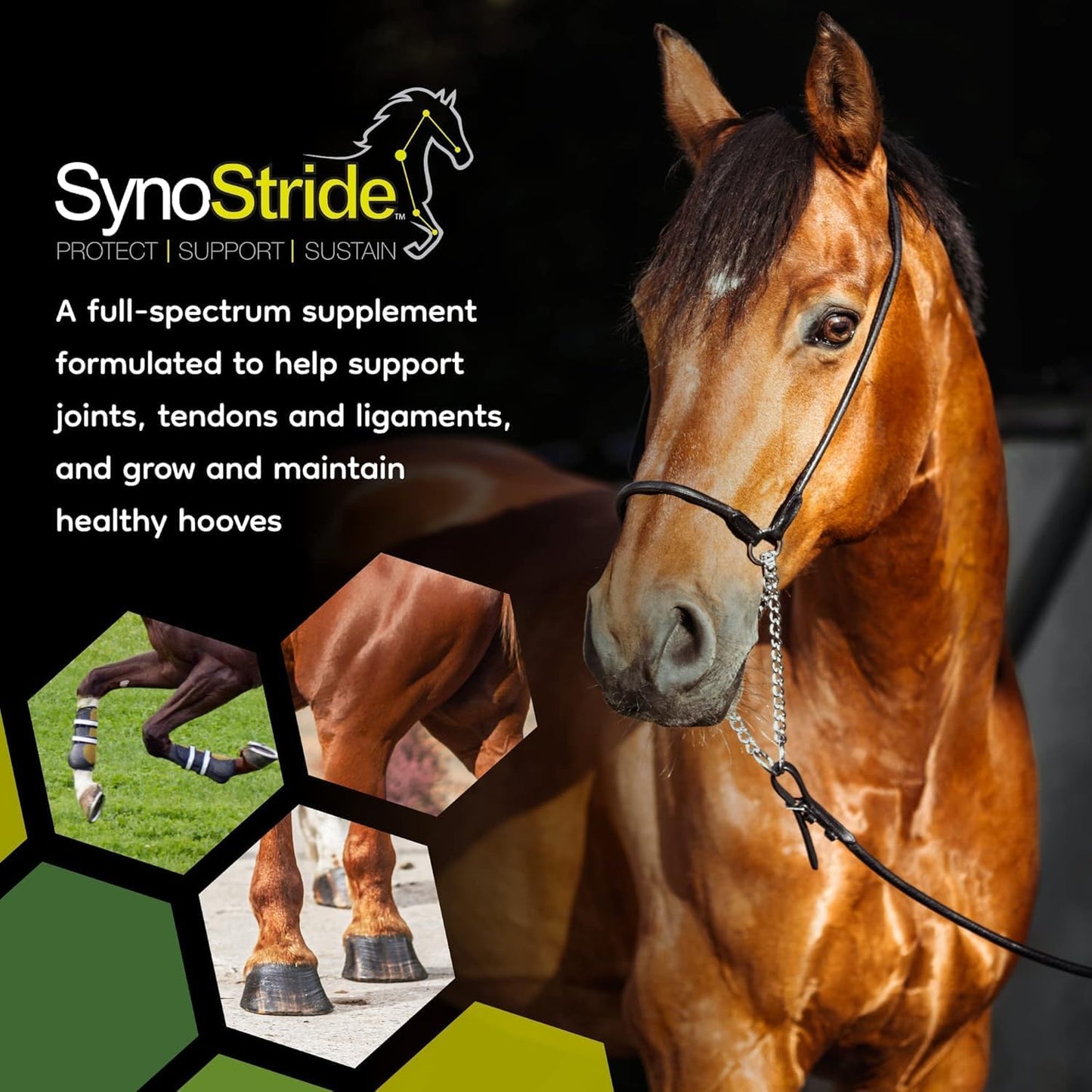 SynoStride All Natural, All-in-one, Joint and Hoof Health Supplement for Horses, Powder with Glucosamine, Chondroitin, Hyaluronic Acid, Biotin, Methionine, Trace Minerals (1080 Grams) x2