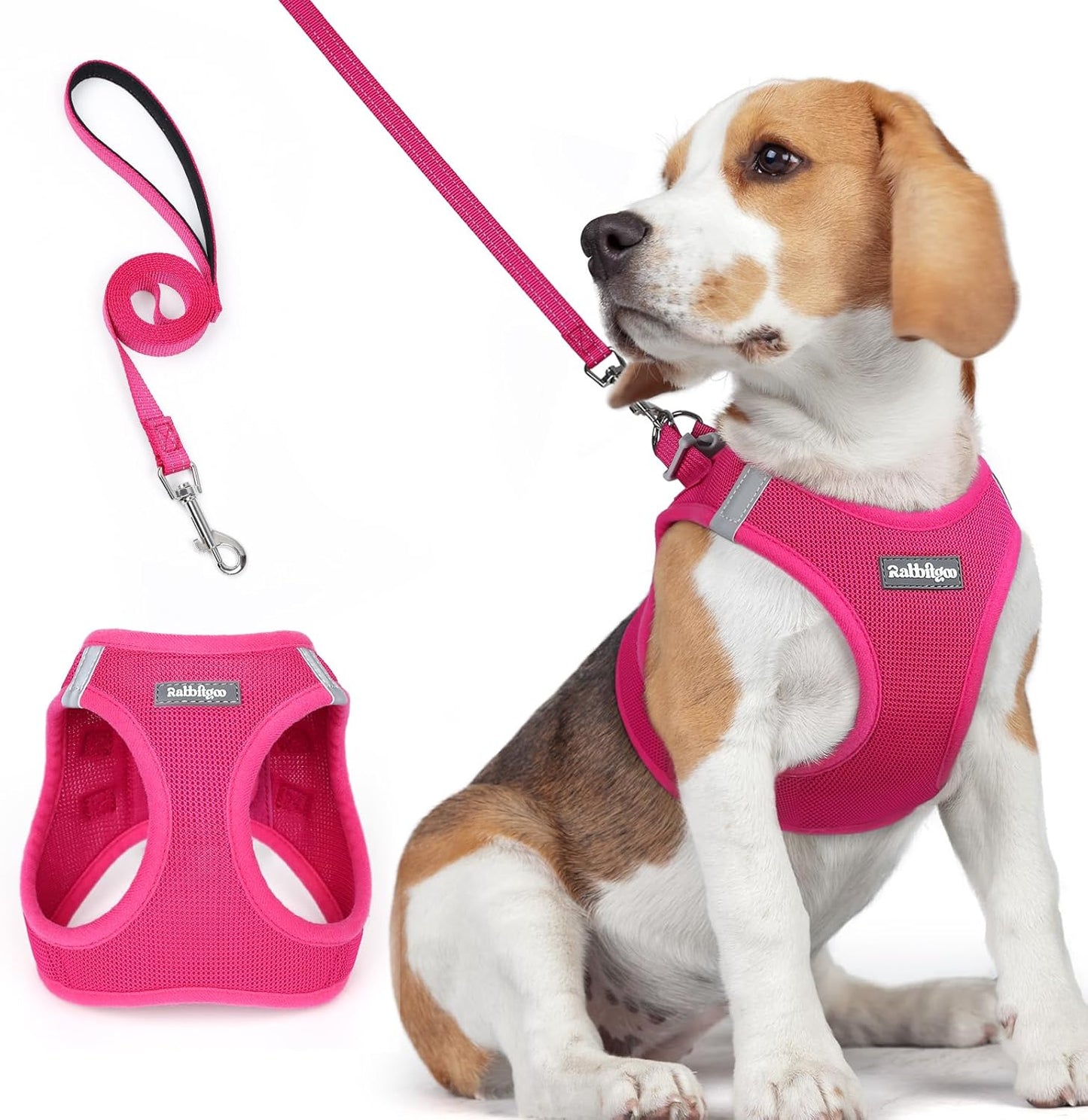 rabbitgoo Dog Harness Small Medium Sized and Leash Set, Step in Soft Light Puppy Vest, Breathable Mesh Pet Harness, Reflective for Safe Easy Walking, Rose Red L