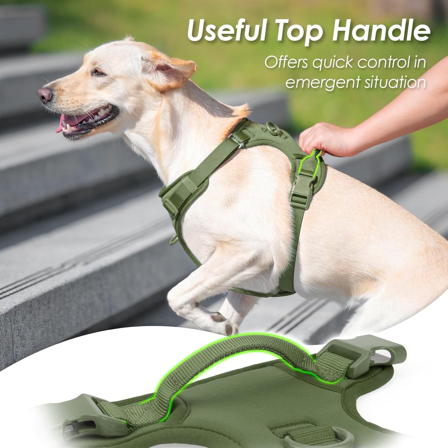 No Pull Dog Harness, Puppy Vest with Front Clip for Small Medium Large Sized Cute Dog (Misty Green,L)