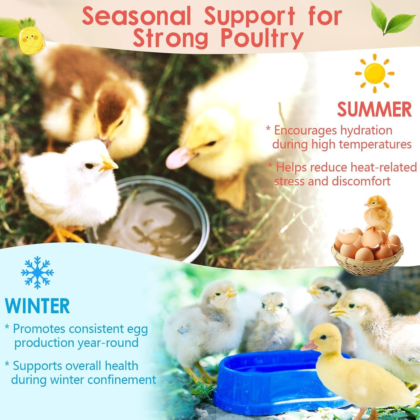 Chicken Electrolyte, Vitamin & Probiotic Supplement - Support Hydration Digestion Immunity Egg Production – Poultry Supplement for Chickens, Ducks, and All Ages of Birds – All-Season Use,10oz Powder