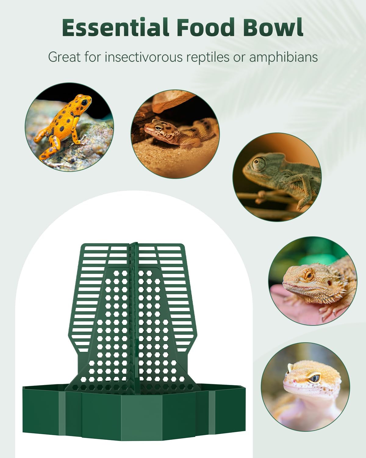 Pawfly Chameleon Feeding Bowl, Climbable Chameleon Feeder, Large Plastic Reptile Feeder Box, Bearded Dragon Food Container, Bug Bowl for Lizards, Geckos, and Frogs