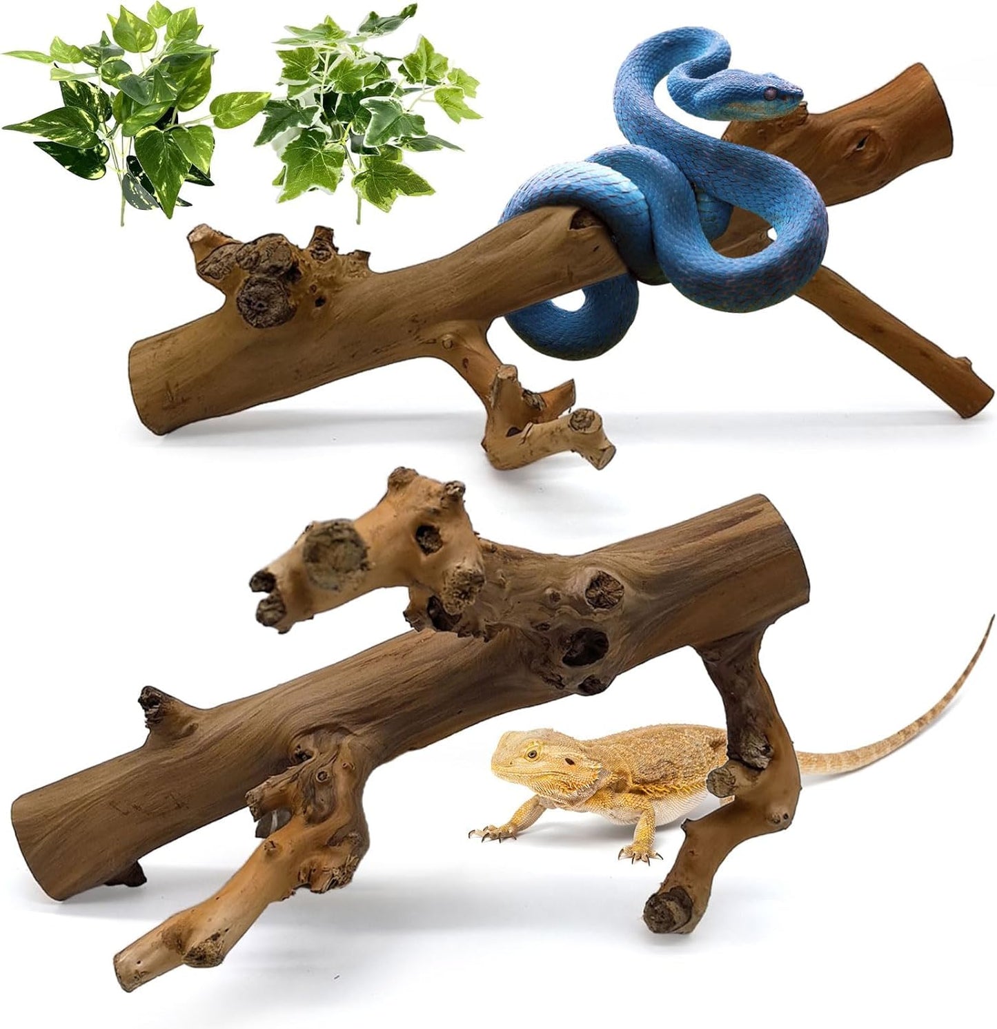 kathson 2PCS Snake Climbing Branch,Reptile Wood Branches Decor, Lizard Natural Polished Wood Climb Accessories,Reptiles Habitat Tank Tree Trunk Decorations for Bearded Dragon Geckos Chameleons Frog