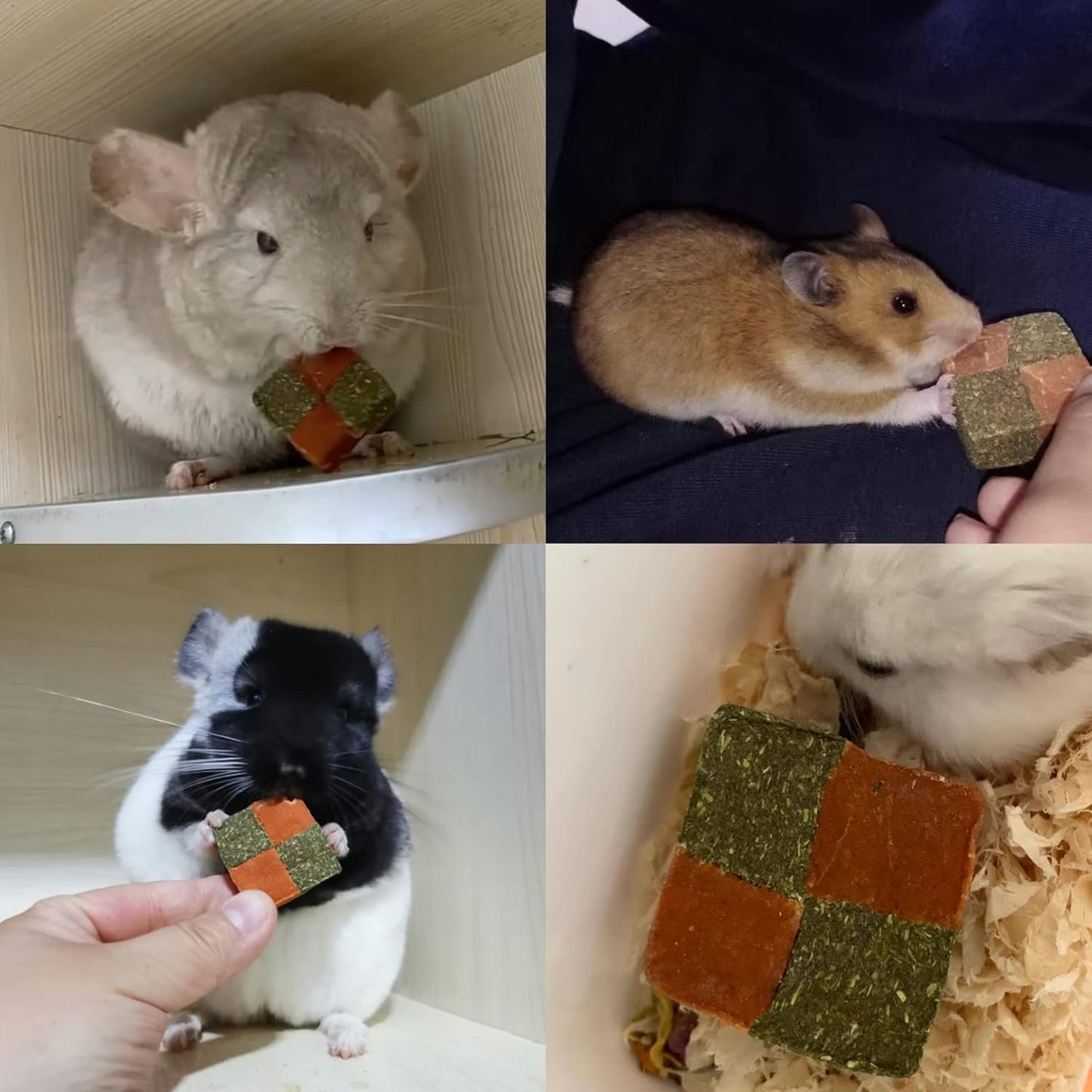 Fhiny 12 PCS Rabbit Carrots Chew Toys, Natural Timothy Hay Biscuit Cubes Rabbit Carrot Molar Treats Small Pet Snacks for Bunny Hamster Chinchilla Guinea Pig or Other Small Animals