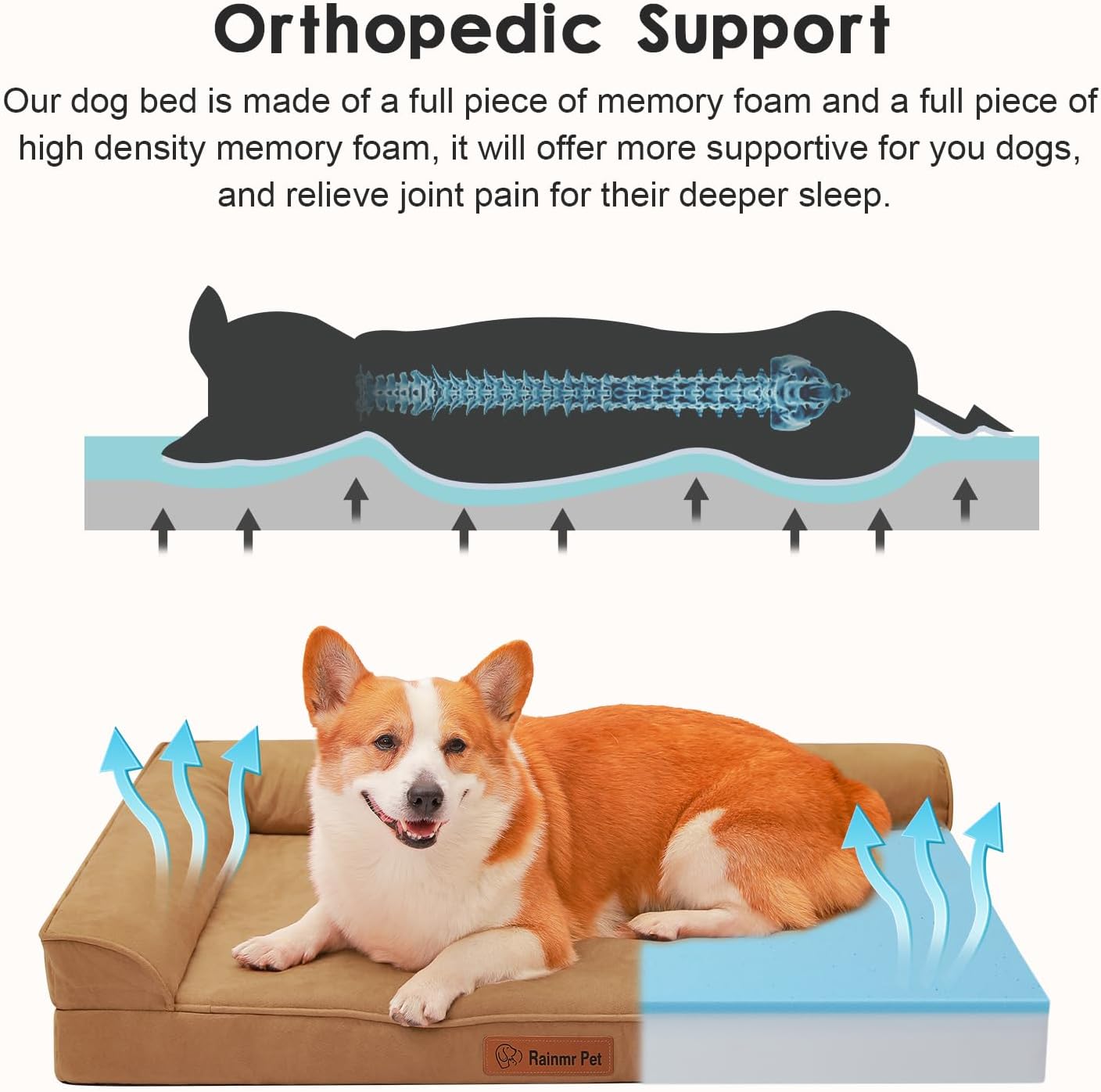 Upgraded Large Dog Bed, 3" Memory Foam with Waterproof Liner, Chew Resistant Microsuede Cover, Removable and Washable, for Indoor, Outdoor, and Car Use, Nonskid Base, 36x27 Inches L Khaki