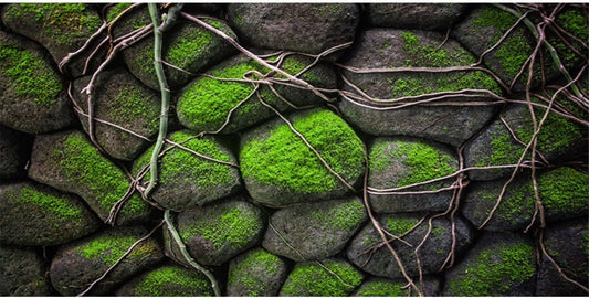 AWERT 24x12 inches Stone Aquarium Background Rock Fish Tank Background Rocky Terrarium Background Vinyl