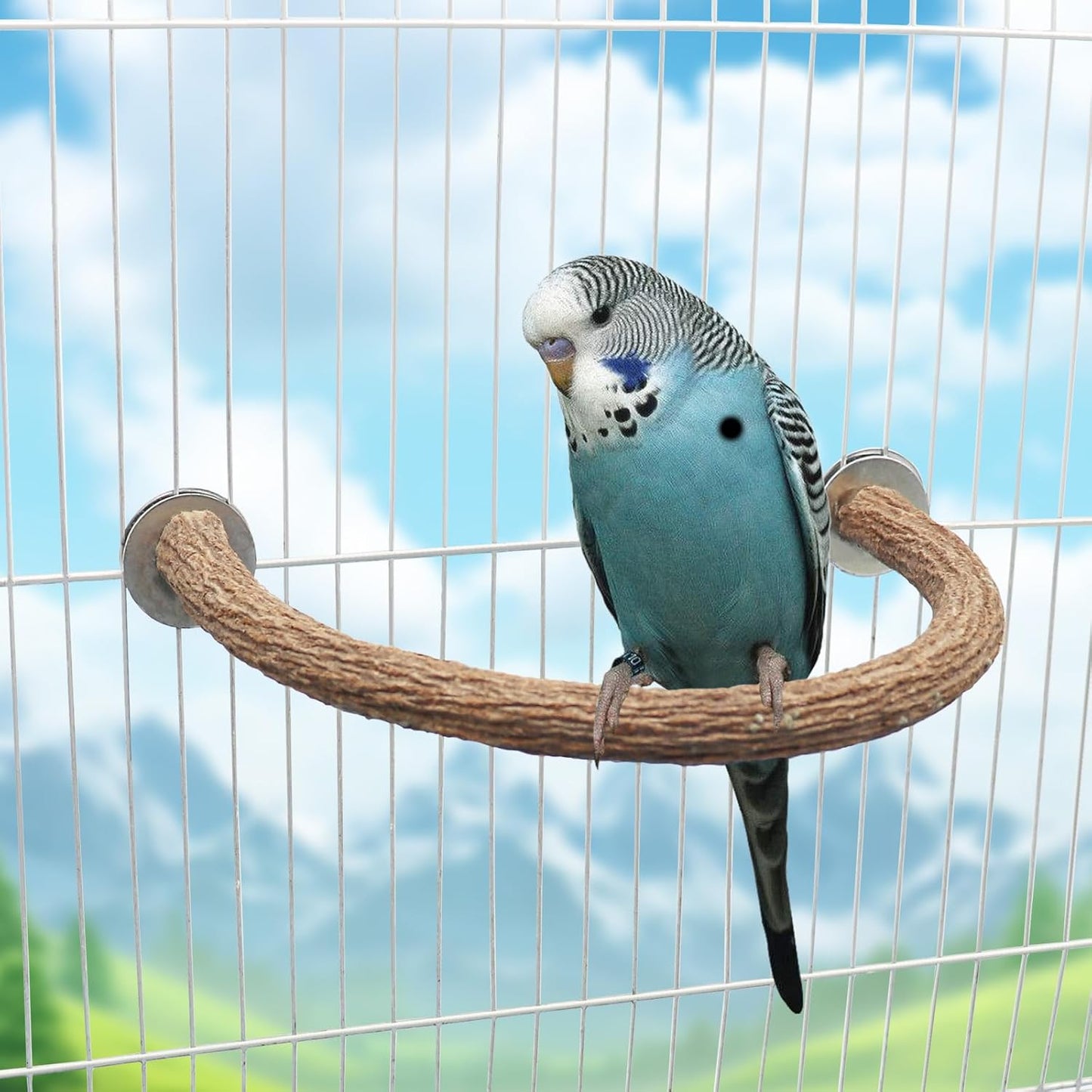 2 Pack Bird Perch Stand, Natural Wood U Shape Parrot Stand Pole, Bird Cage Accessories, Suitable for Small to Medium Birds Parakeets Cockatiels Budgie Lovebirds